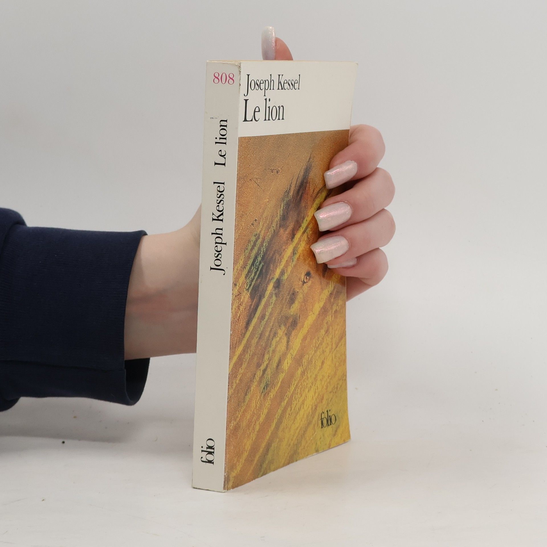 folio - 808: Le lion