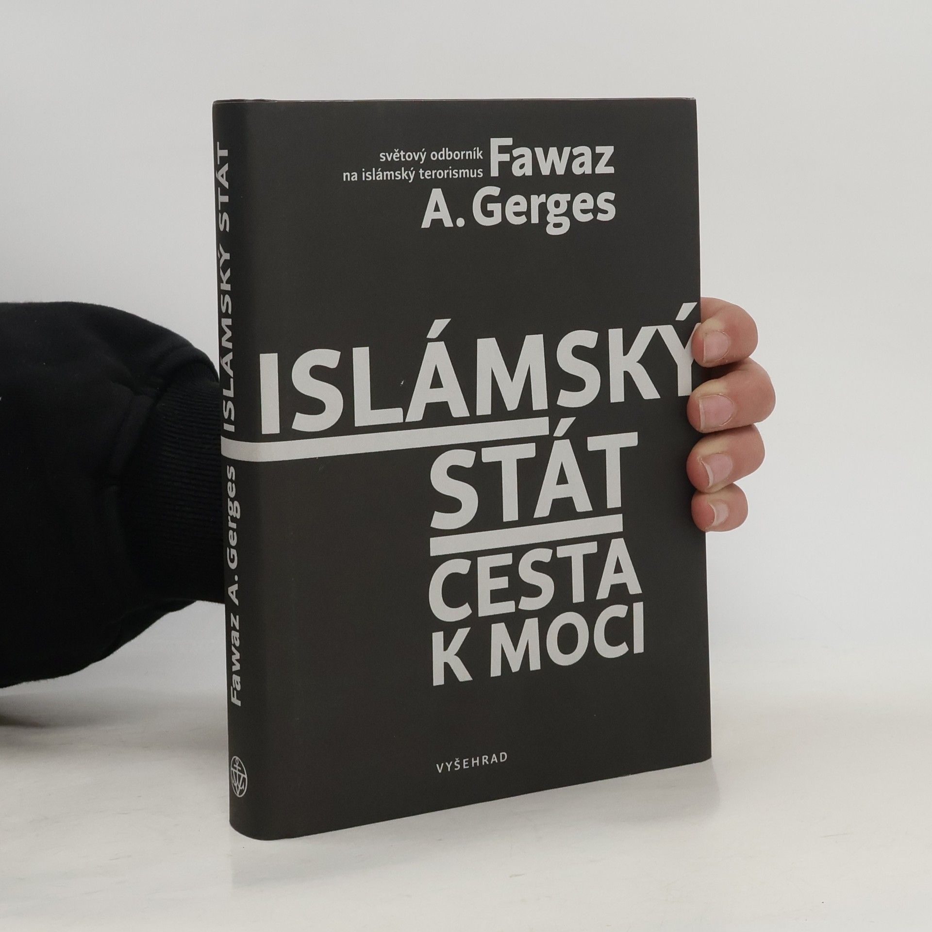 Fawaz A. Gerges Islámský stát : cesta k moci