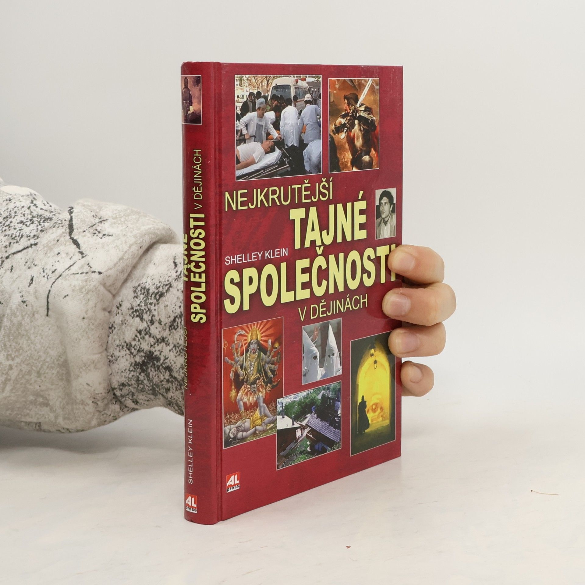 Shelley Klein Nejkrutější tajné společnosti v dějinách