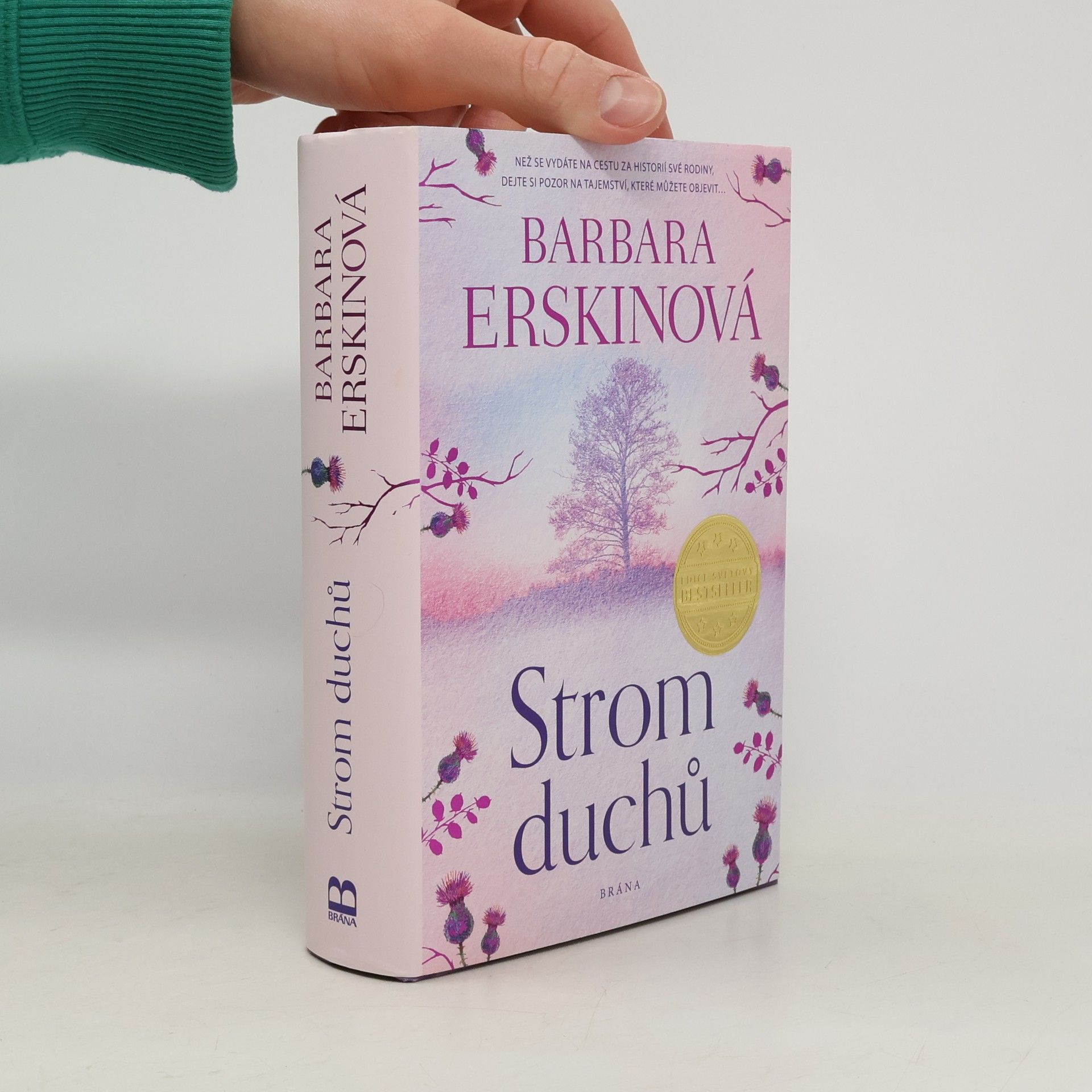 Barbara Erskine Strom duchů