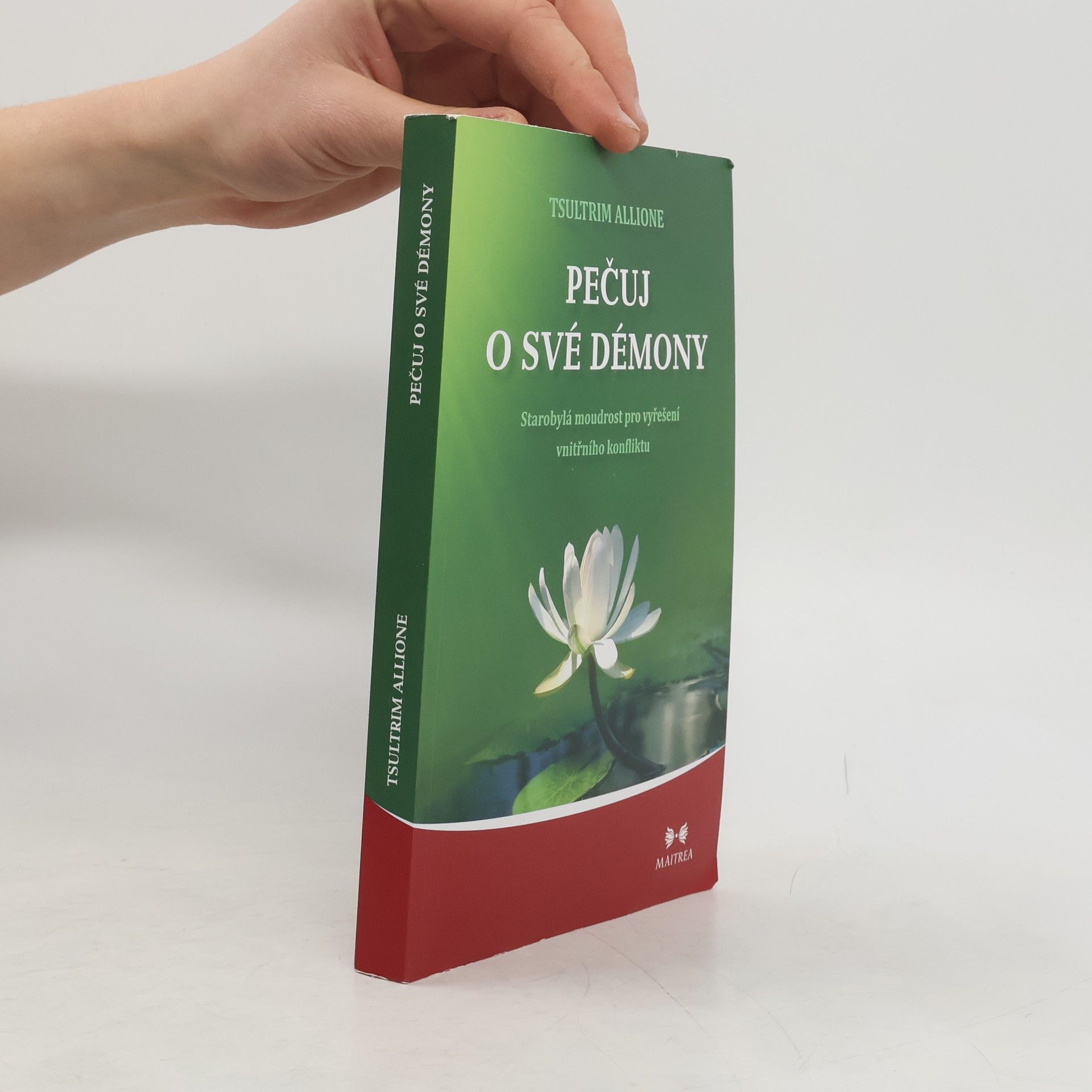Tsultrim Allione Pečuj o své démony. Starobylá moudrost pro vyřešení vnitřního konfliktu