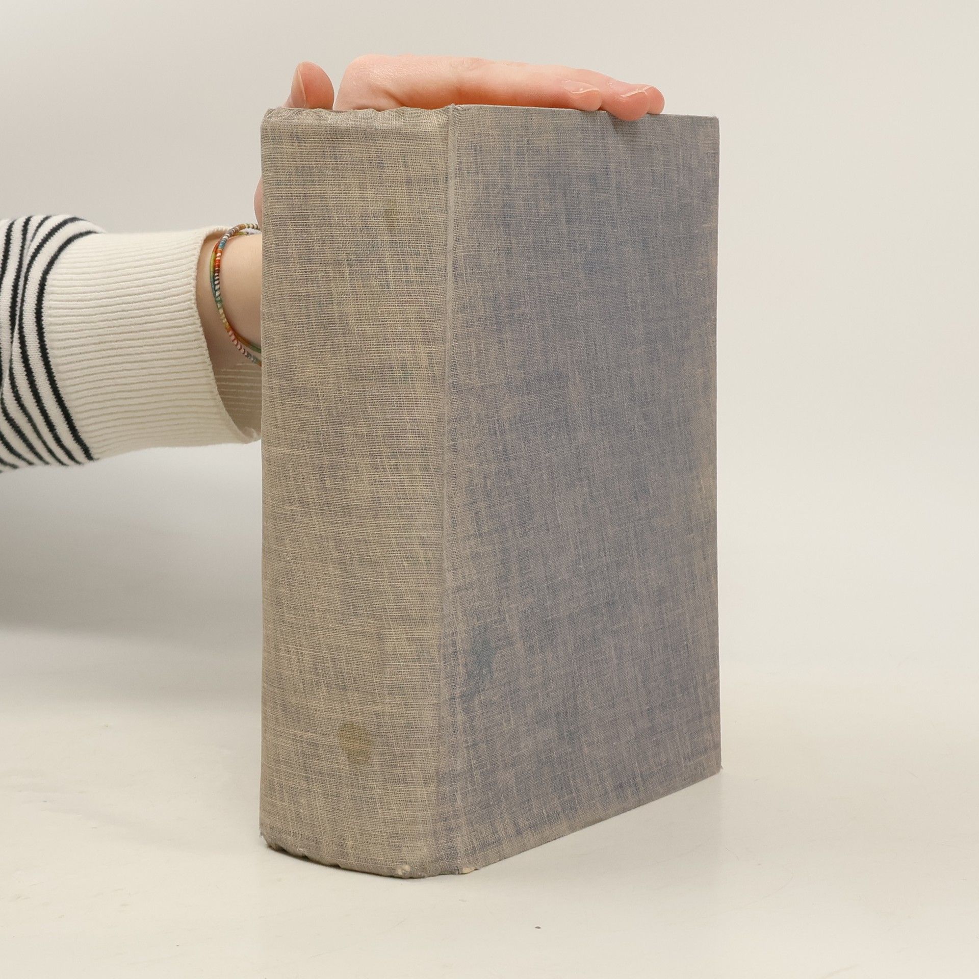 Jaroslav Hašek Osudy dobrého vojáka Švejka za světové války