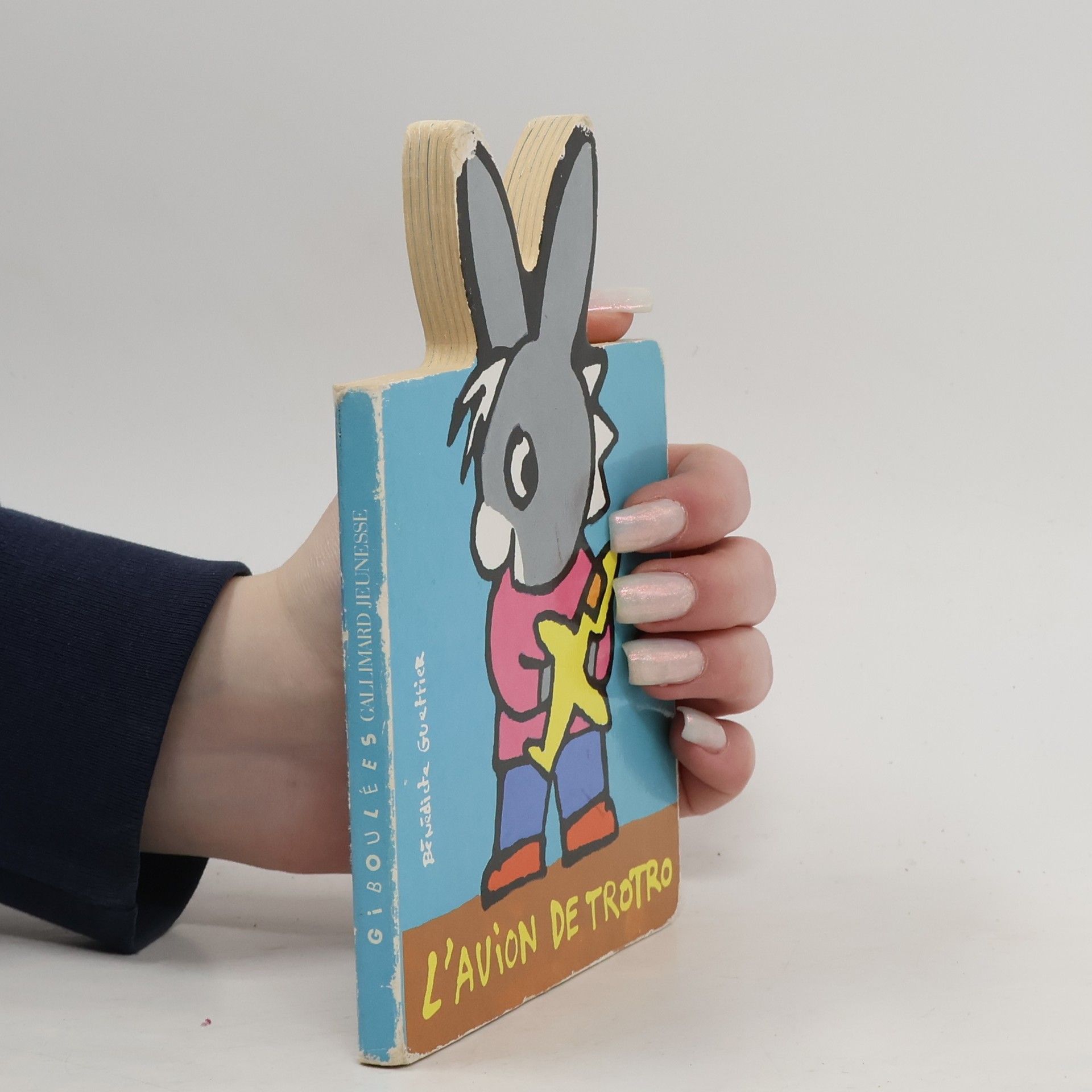 Bénédicte Guettier L'avion de Trotro