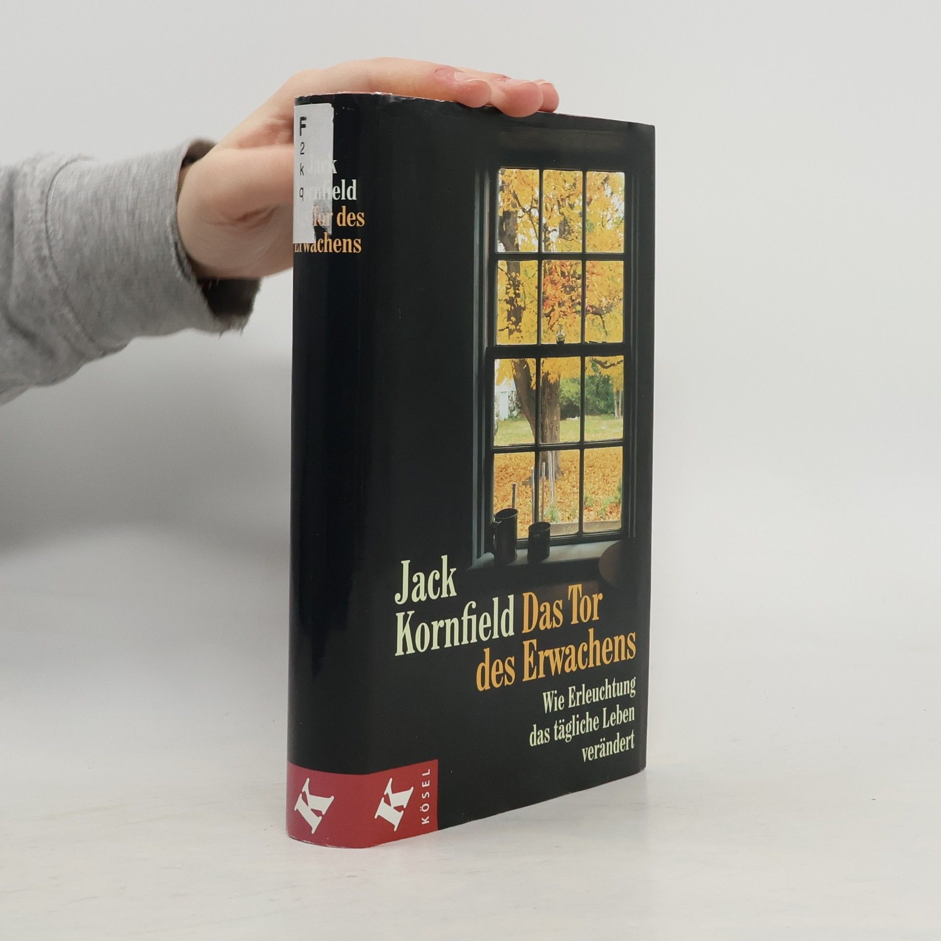 Jack Kornfield Das Tor des Erwachens