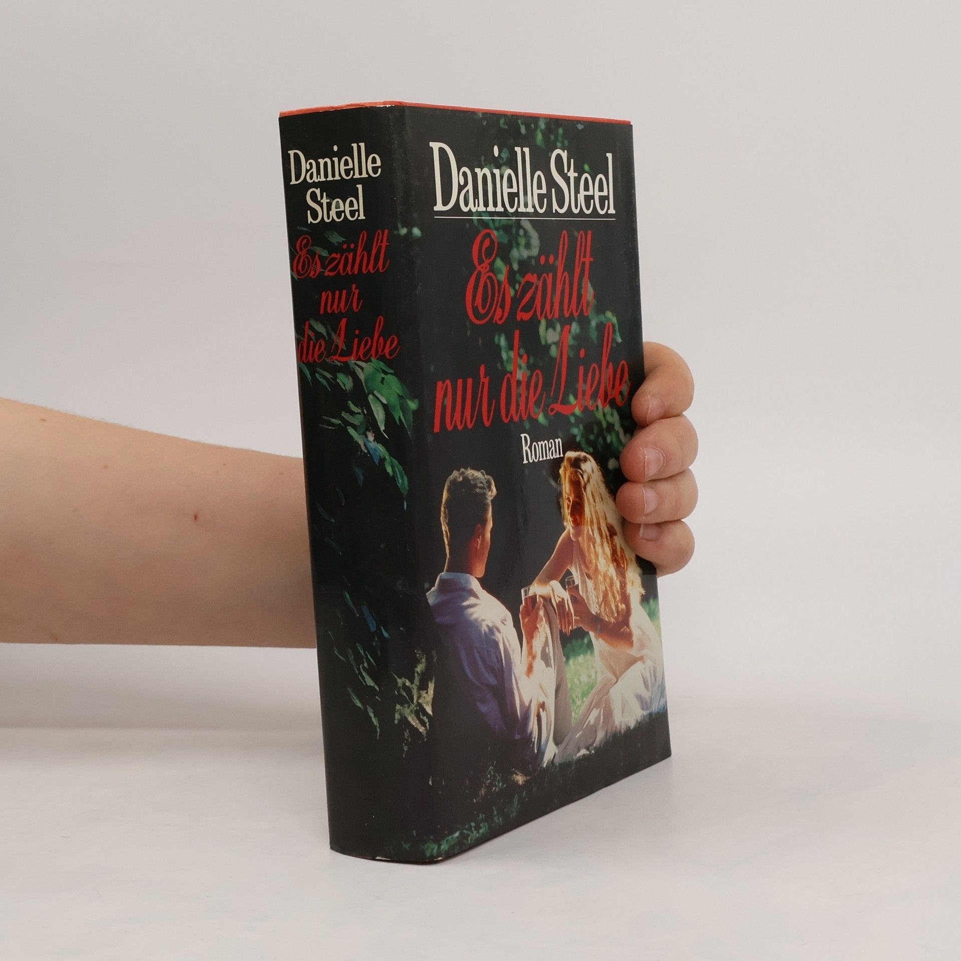 Danielle Steel Es zählt nur die Liebe