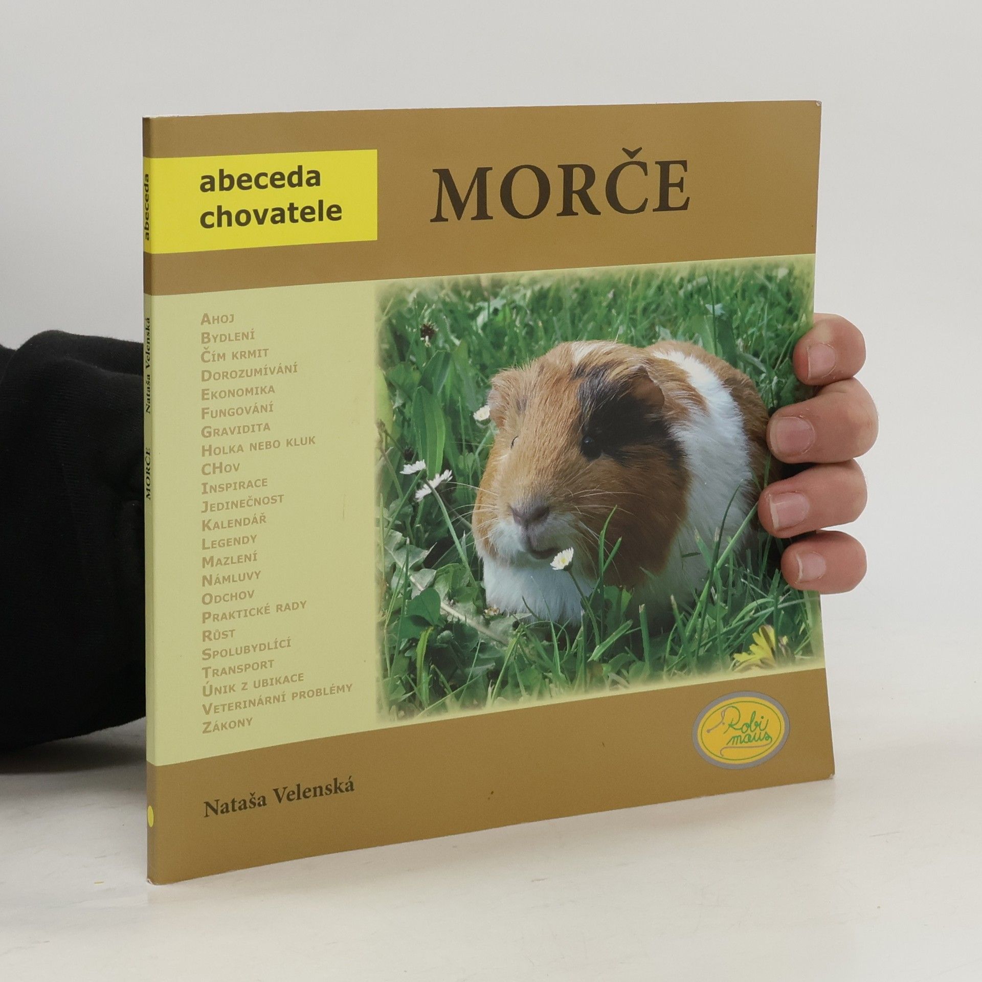Morče