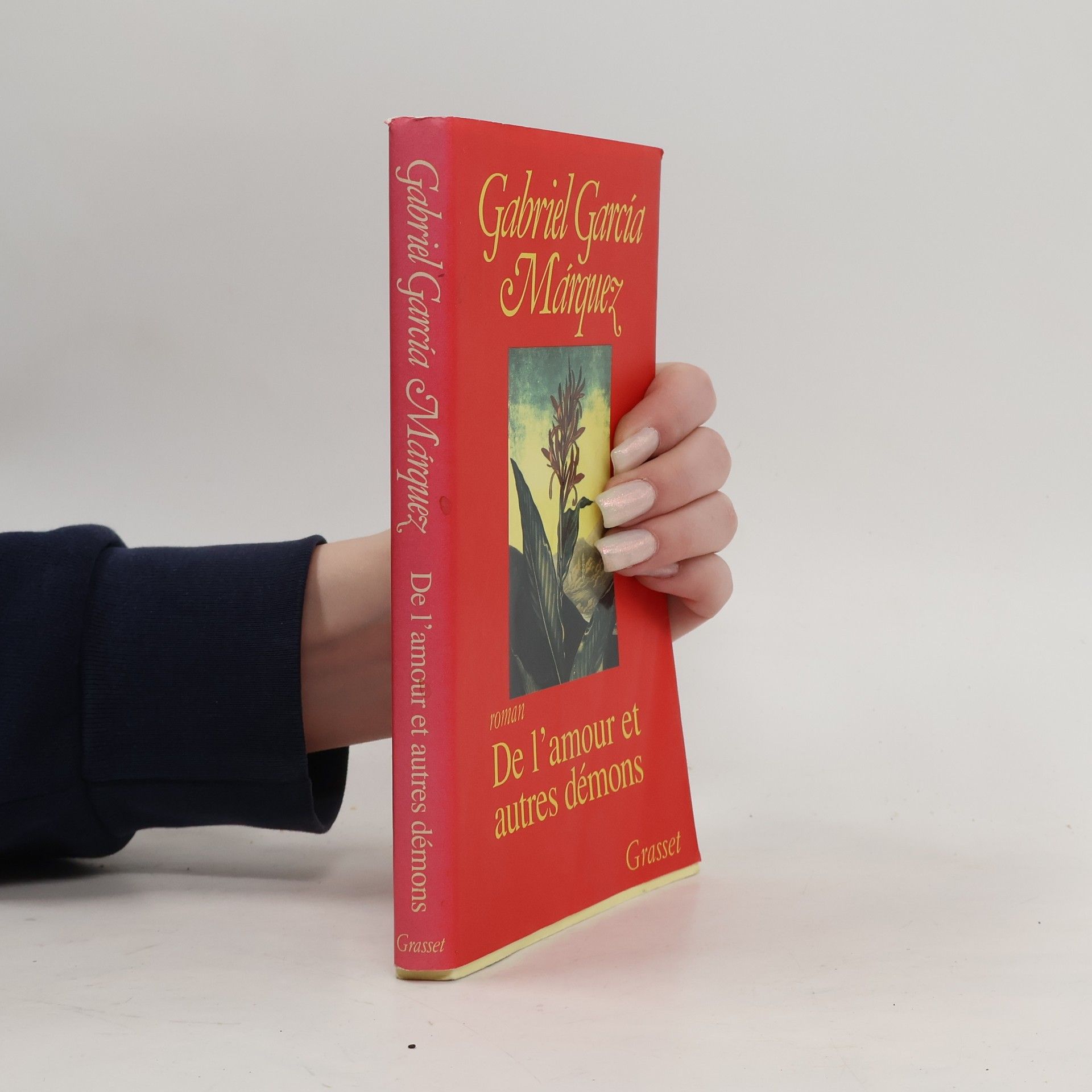 Gabriel García Márquez De l'amour et autres démons