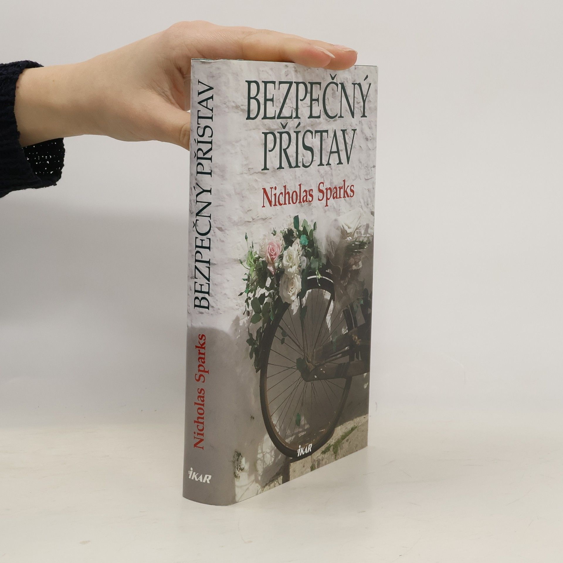 Nicholas Sparks Bezpečný přístav