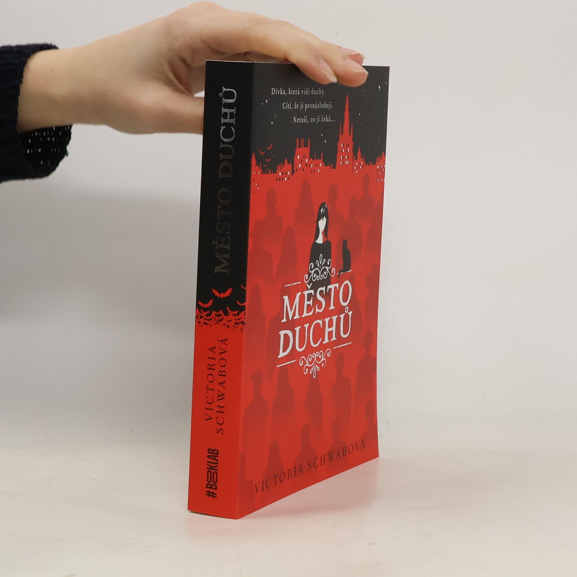 V. E. Schwab Město duchů