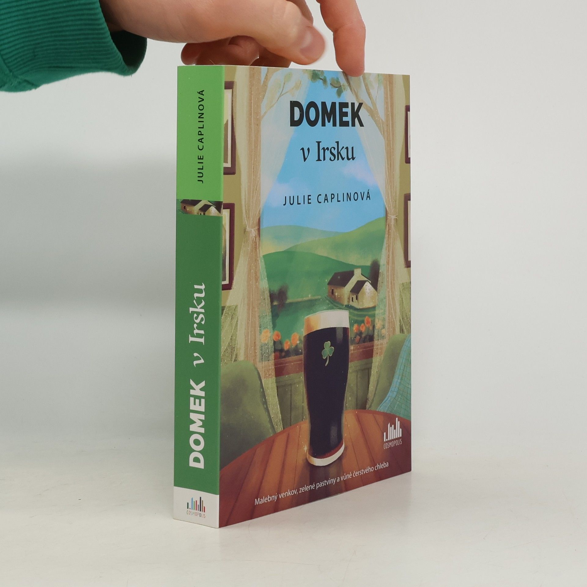 Julie Caplin Domek v Irsku