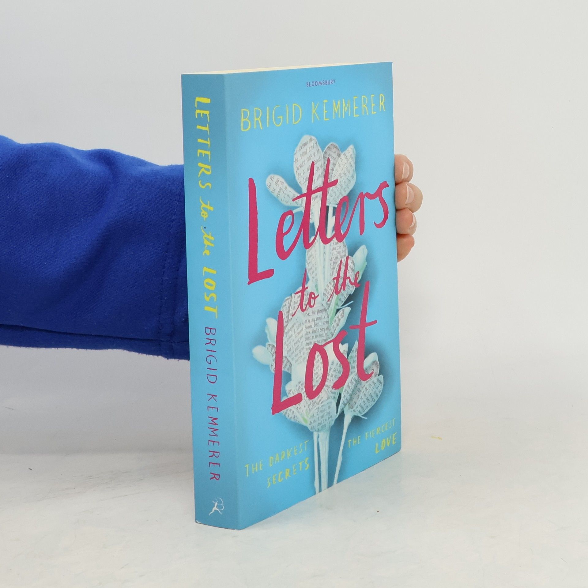 Brigid Kemmerer Letters to the Lost