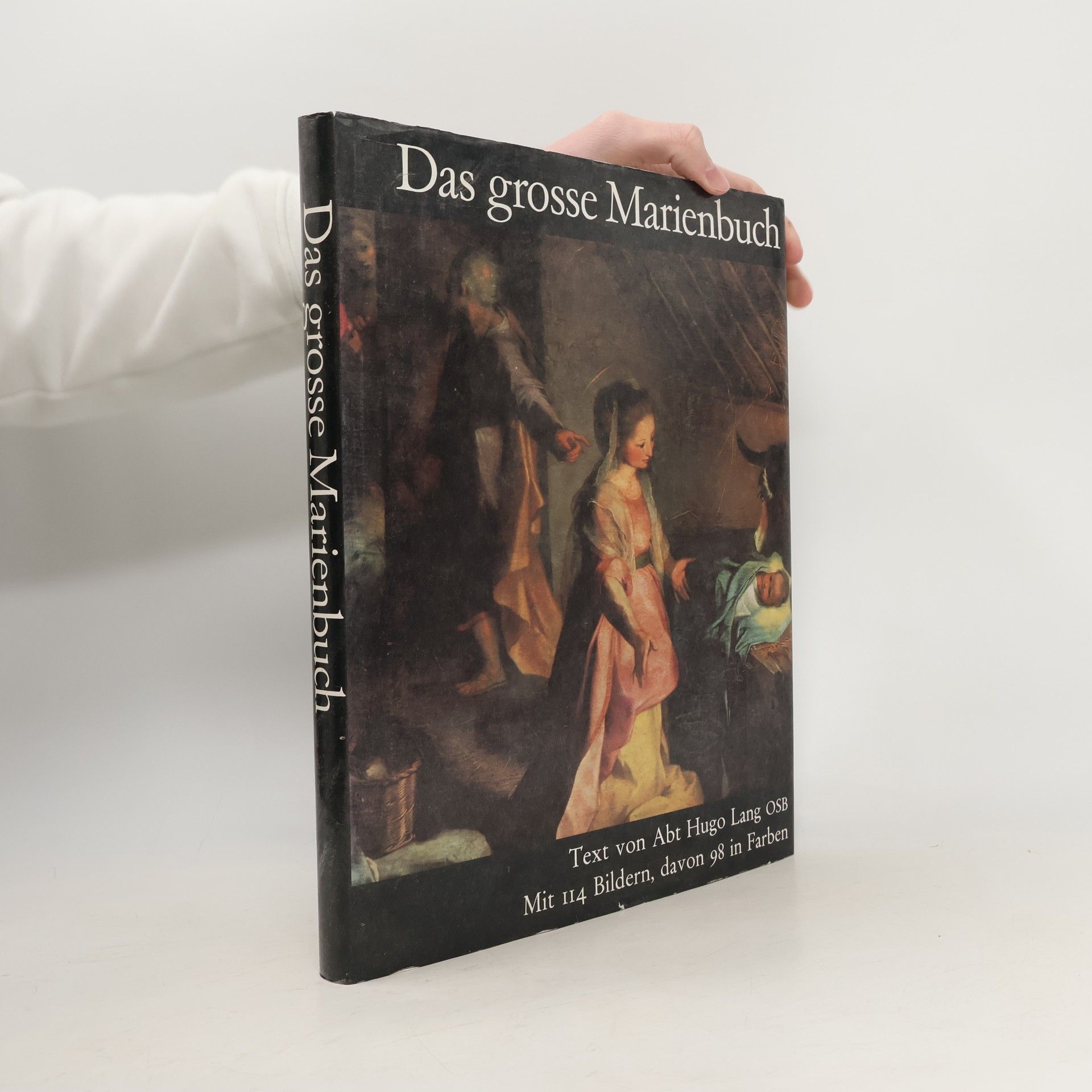 Das grosse Marienbuch