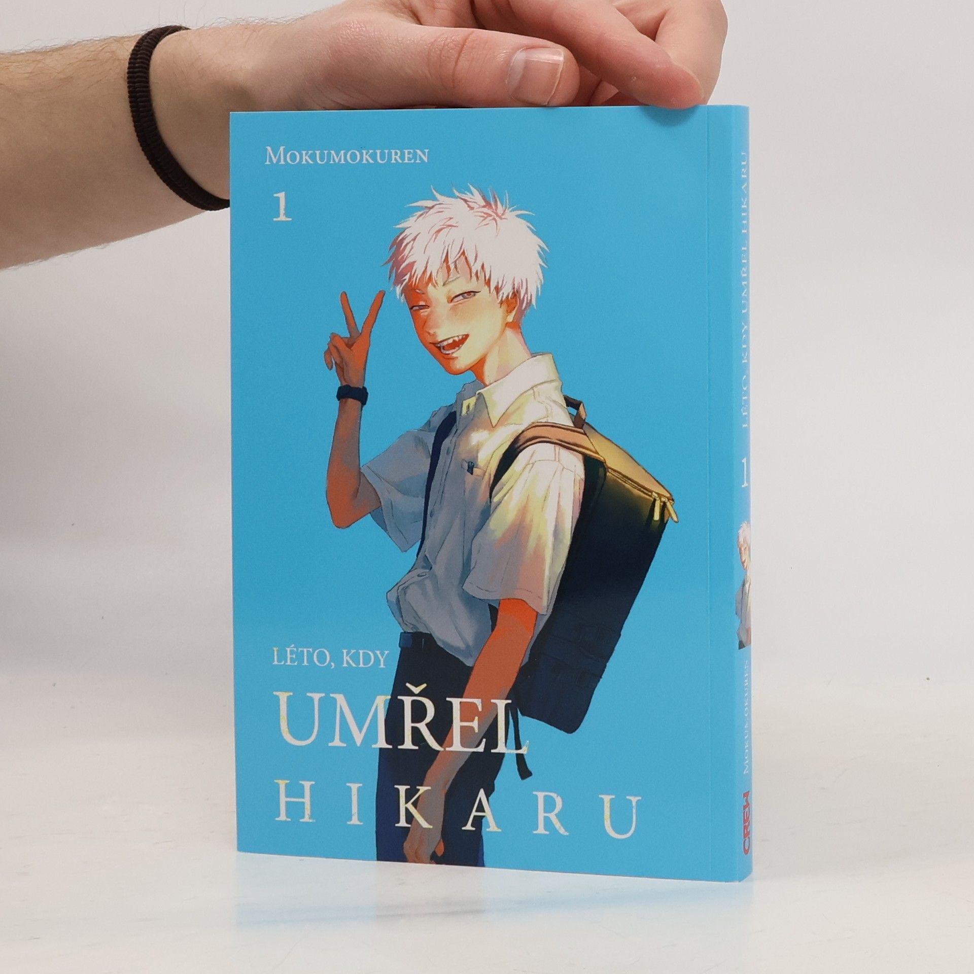 Anna Křivánková Léto, kdy umřel Hikaru 1