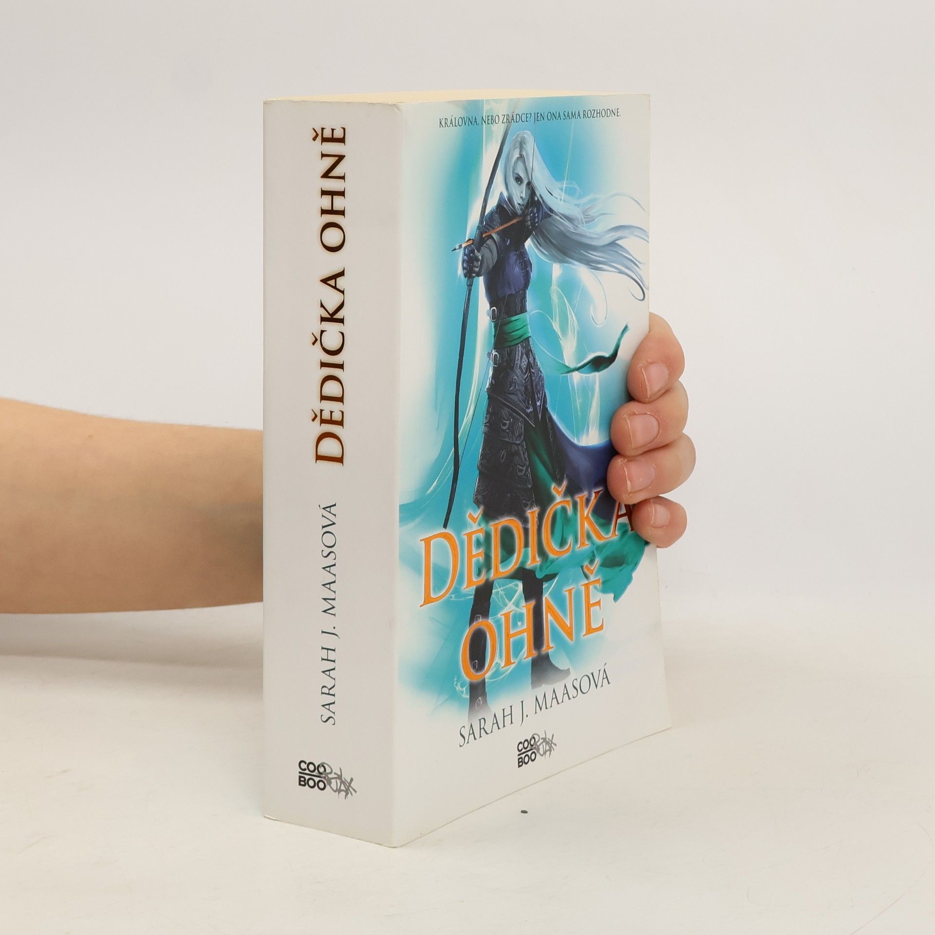 Sarah J. Maas Dědička ohně