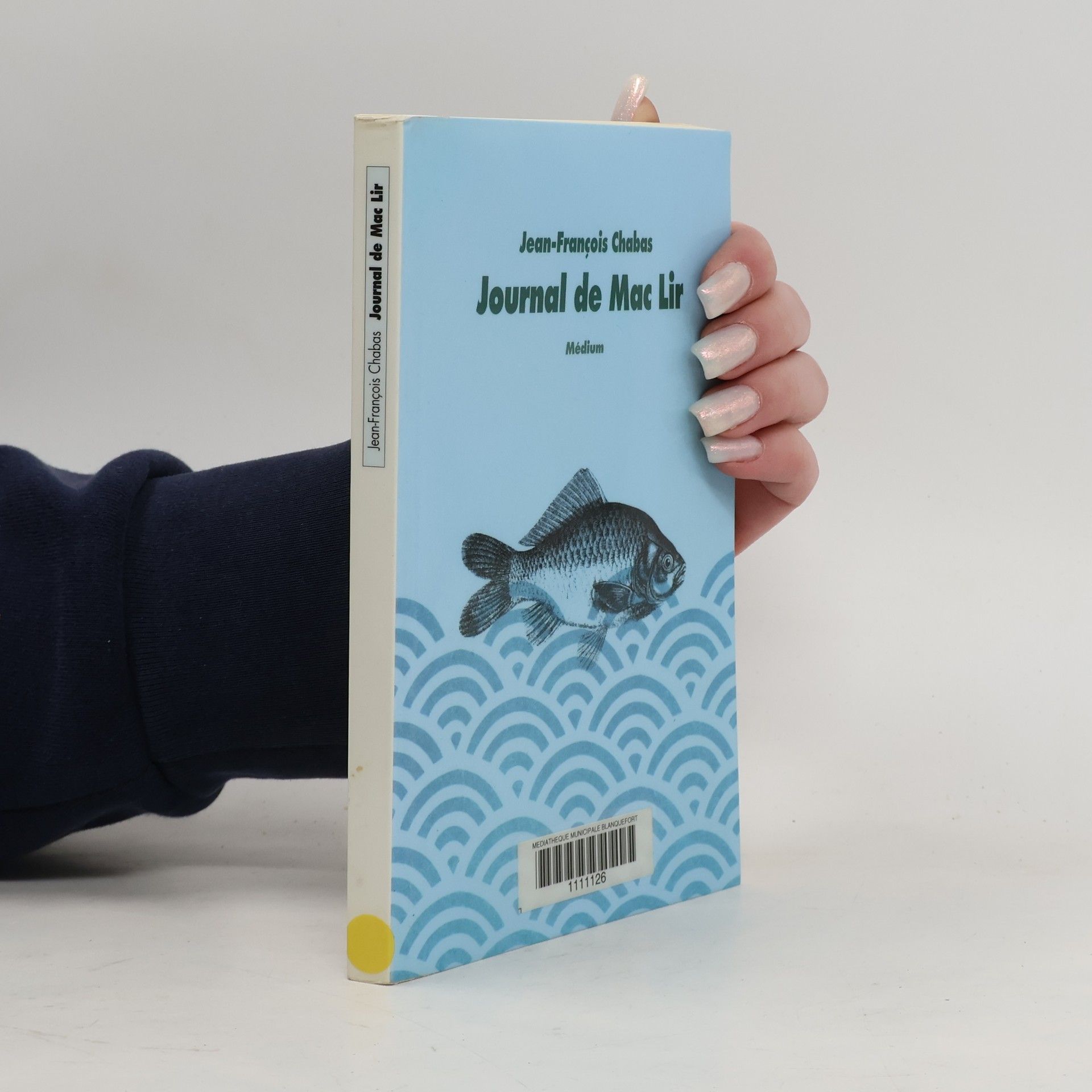 Jean-François Chabas Journal de Mac Lir