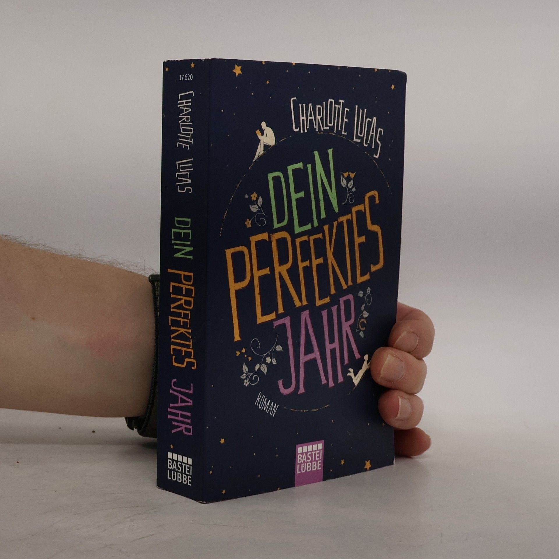 Charlotte Lucas Dein perfektes Jahr