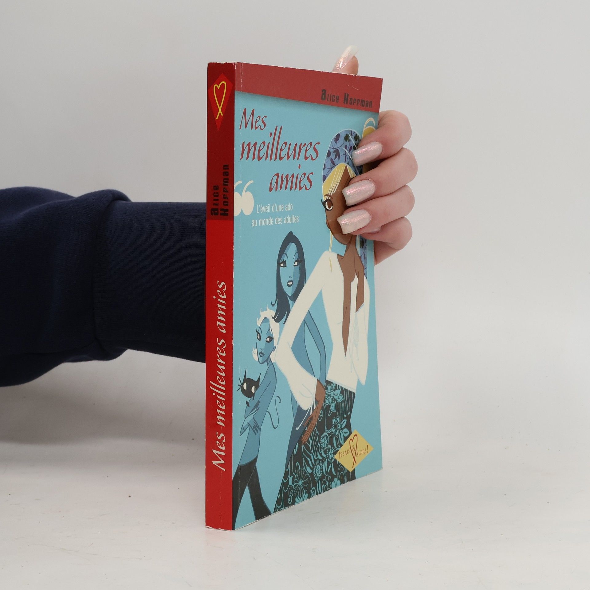 Alice Hoffmann Mes meilleures amies