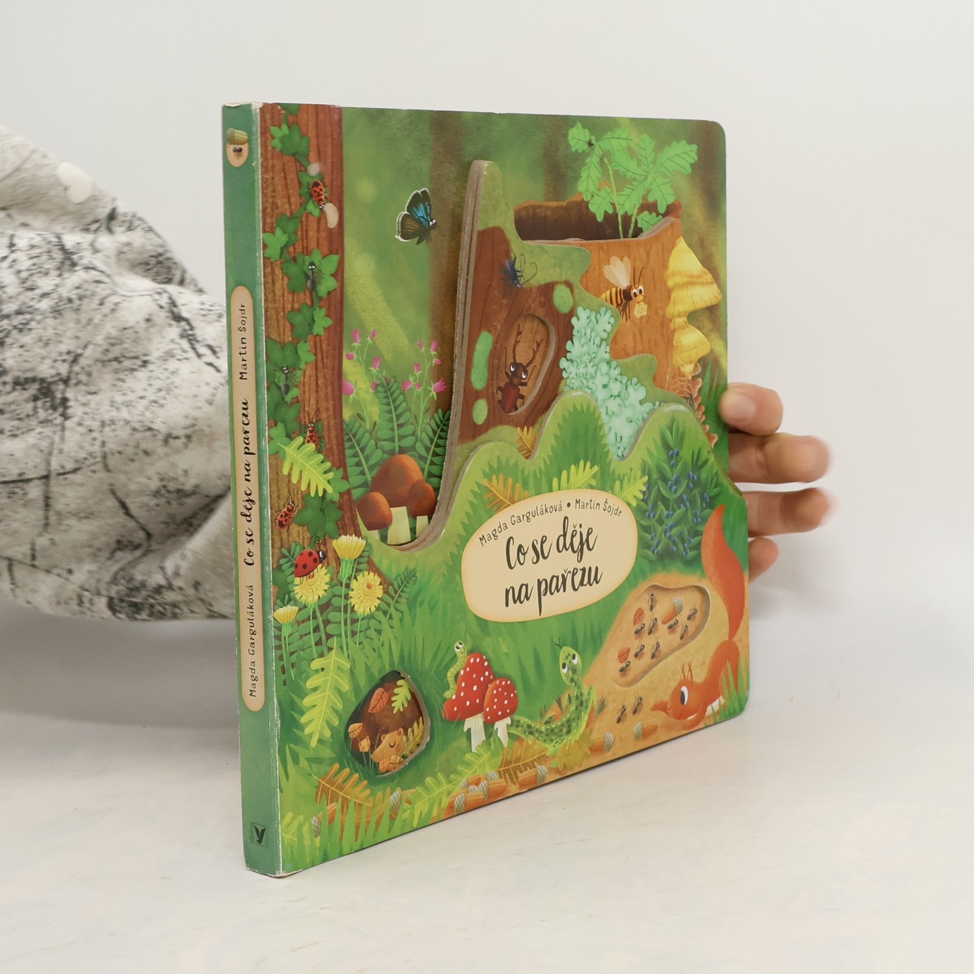 Magda Garguláková Co se děje na pařezu