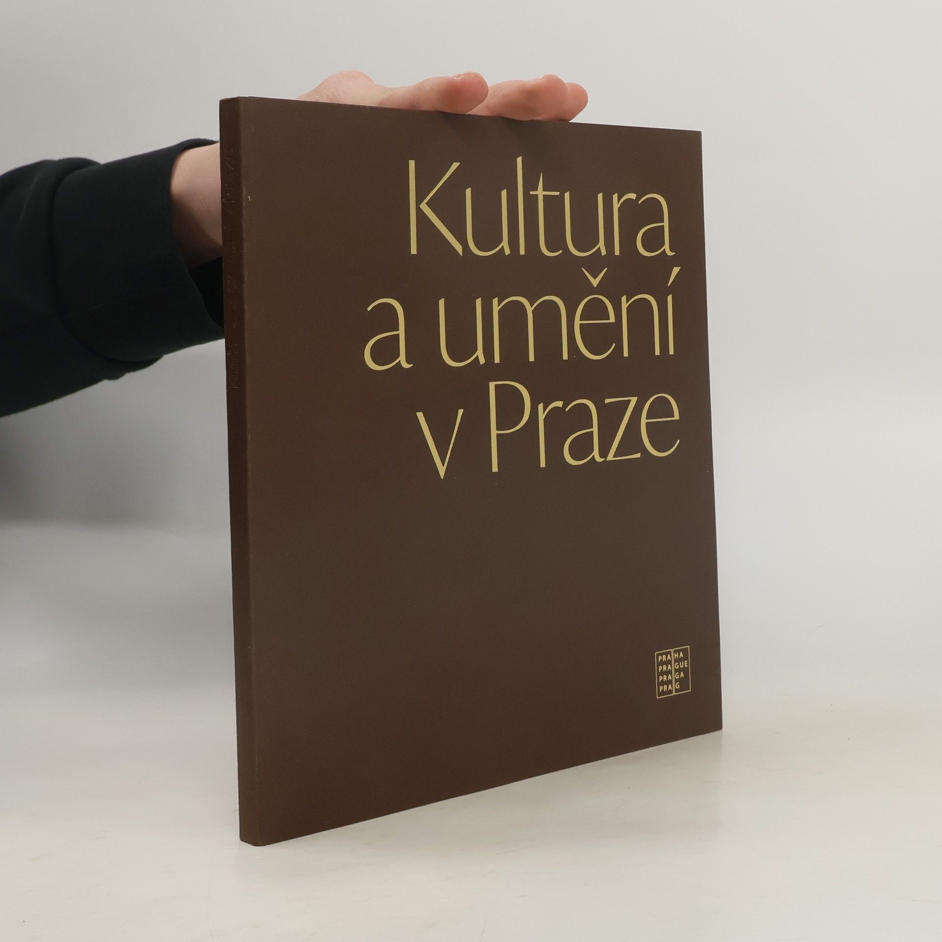 Kateřina Opatrná Kultura a umění v Praze