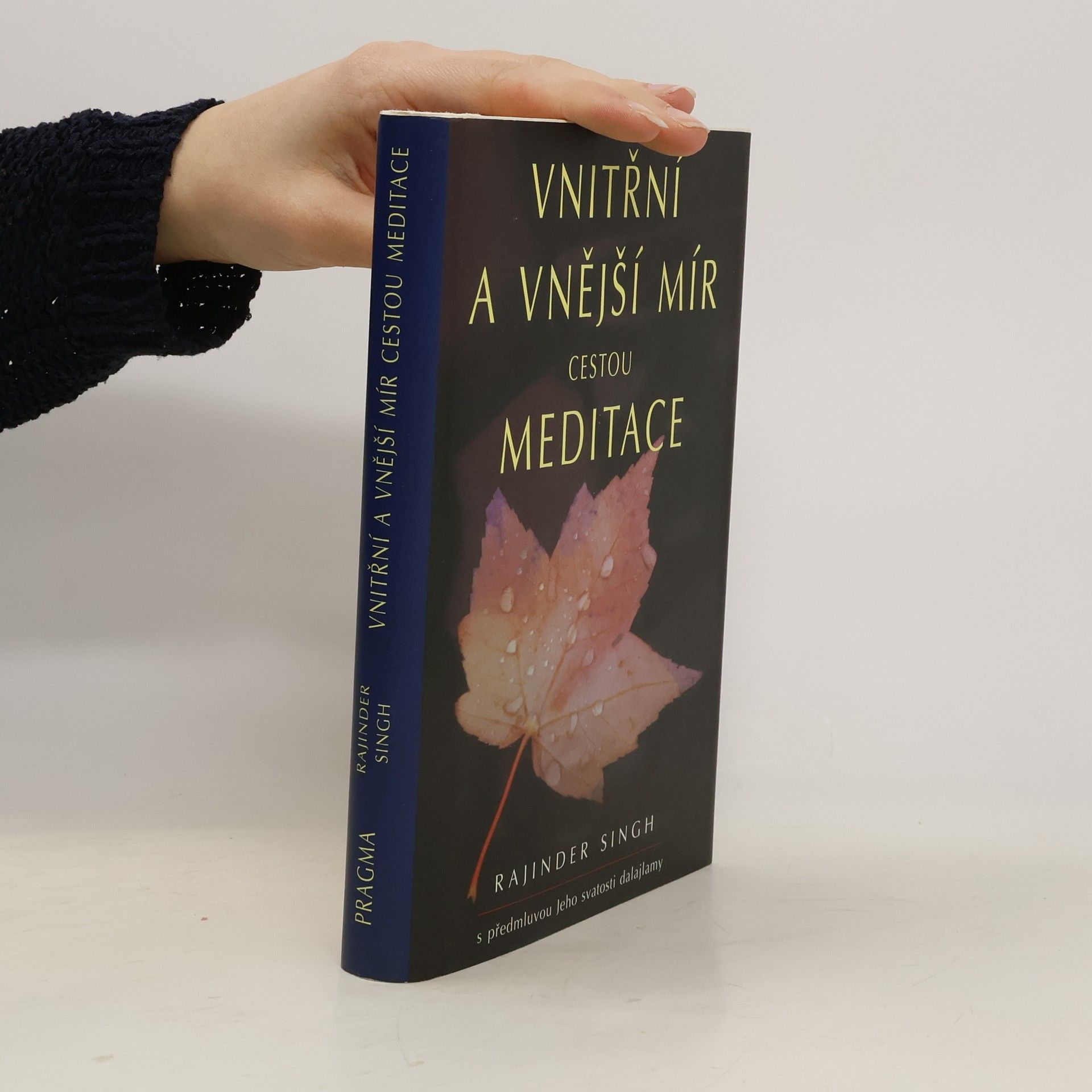 Rajinder Singh Vnitřní a vnější mír cestou meditace