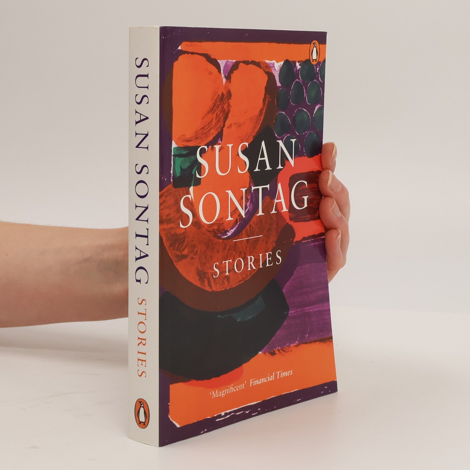 Susan Sontag Stories