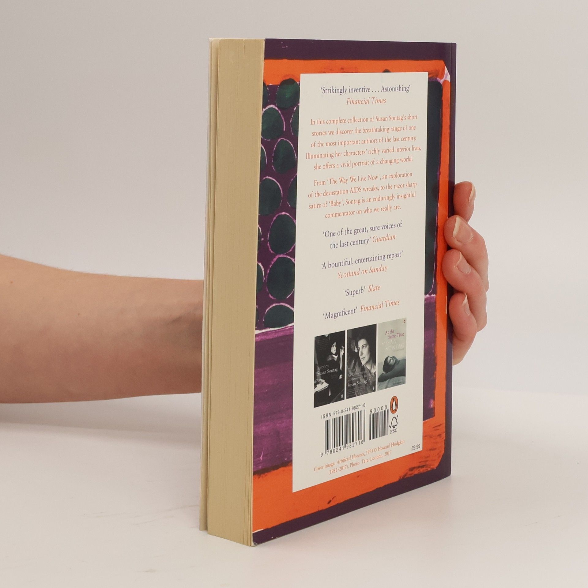 Susan Sontag Stories