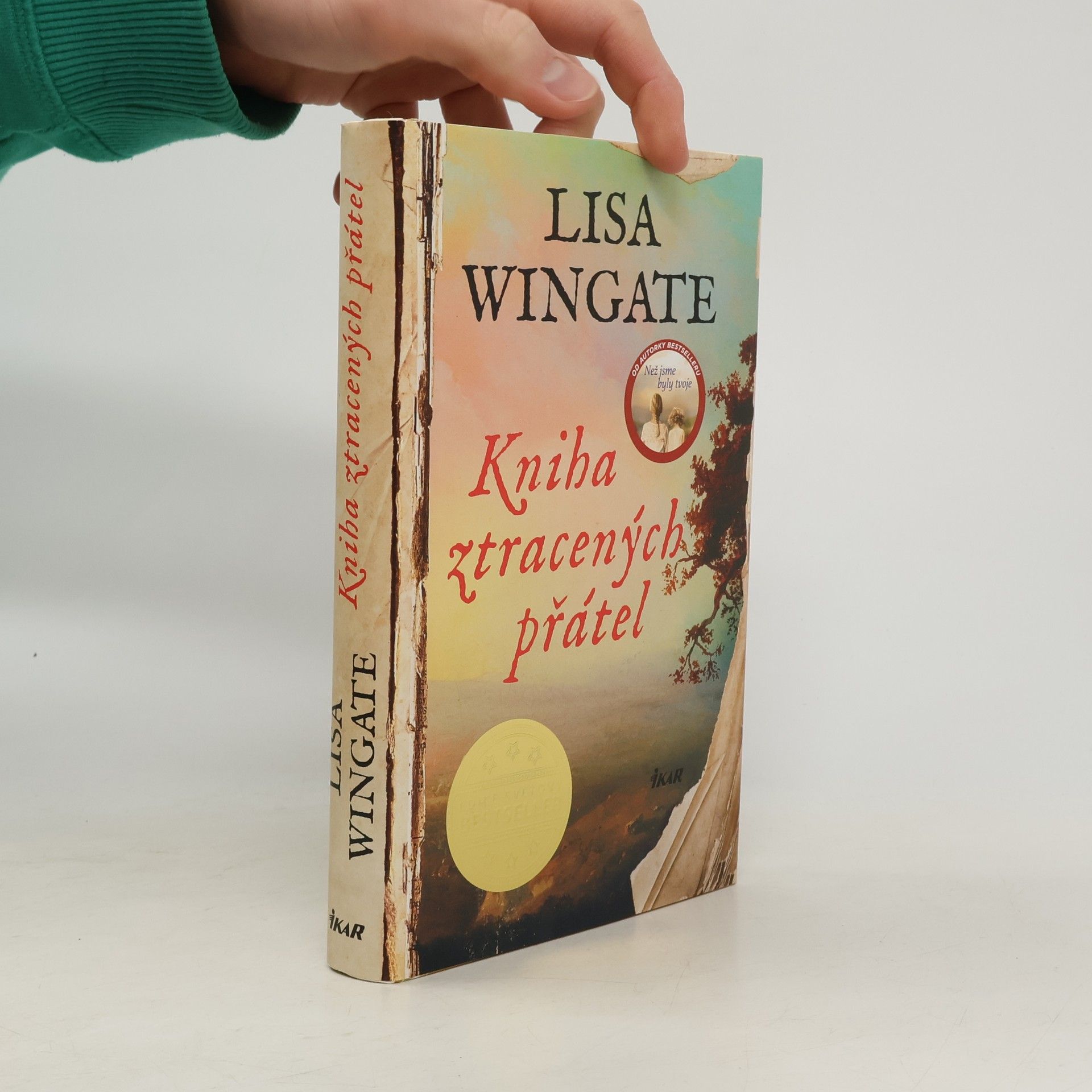 Lisa Wingate Kniha ztracených přátel