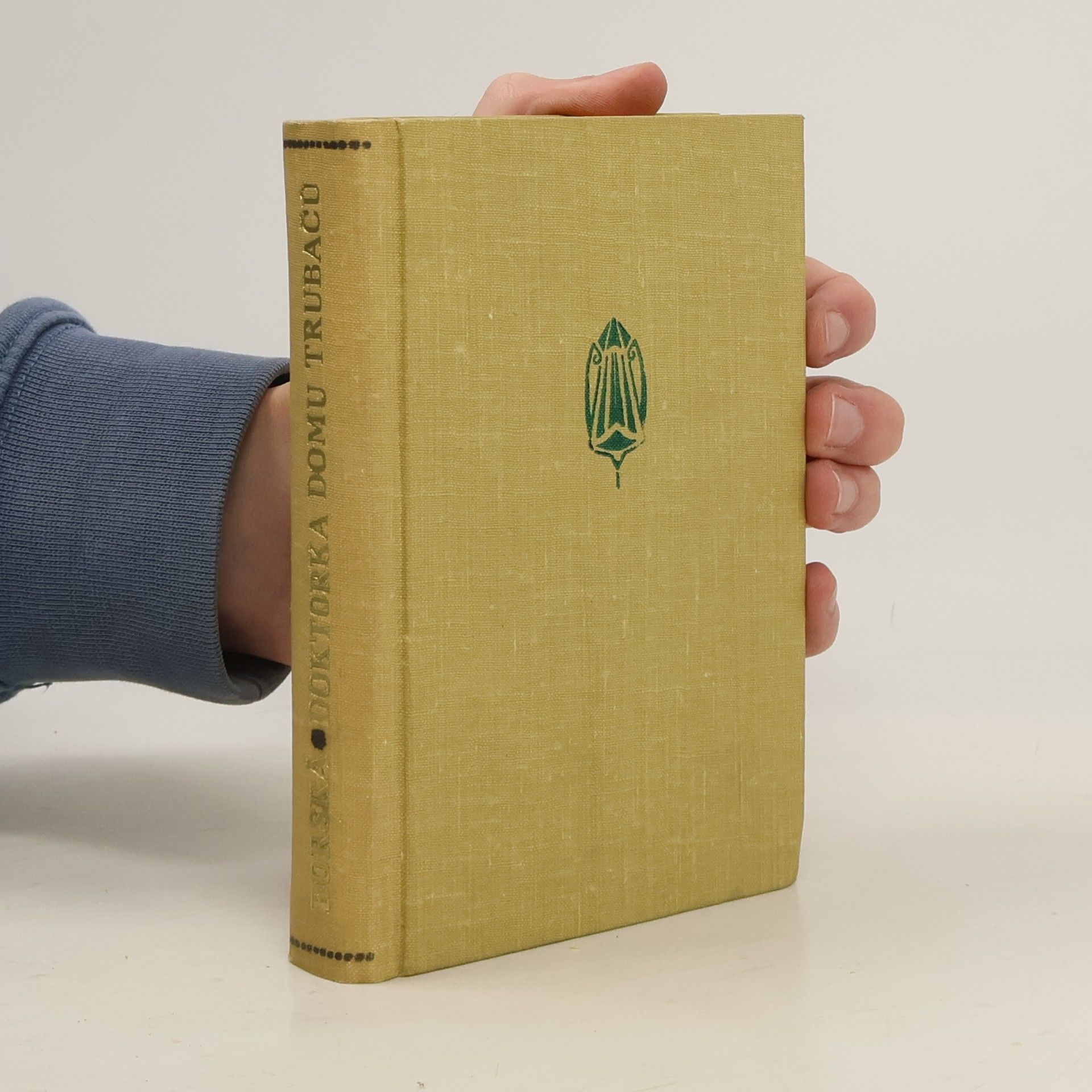 Ilona Borská Doktorka domu Trubačů