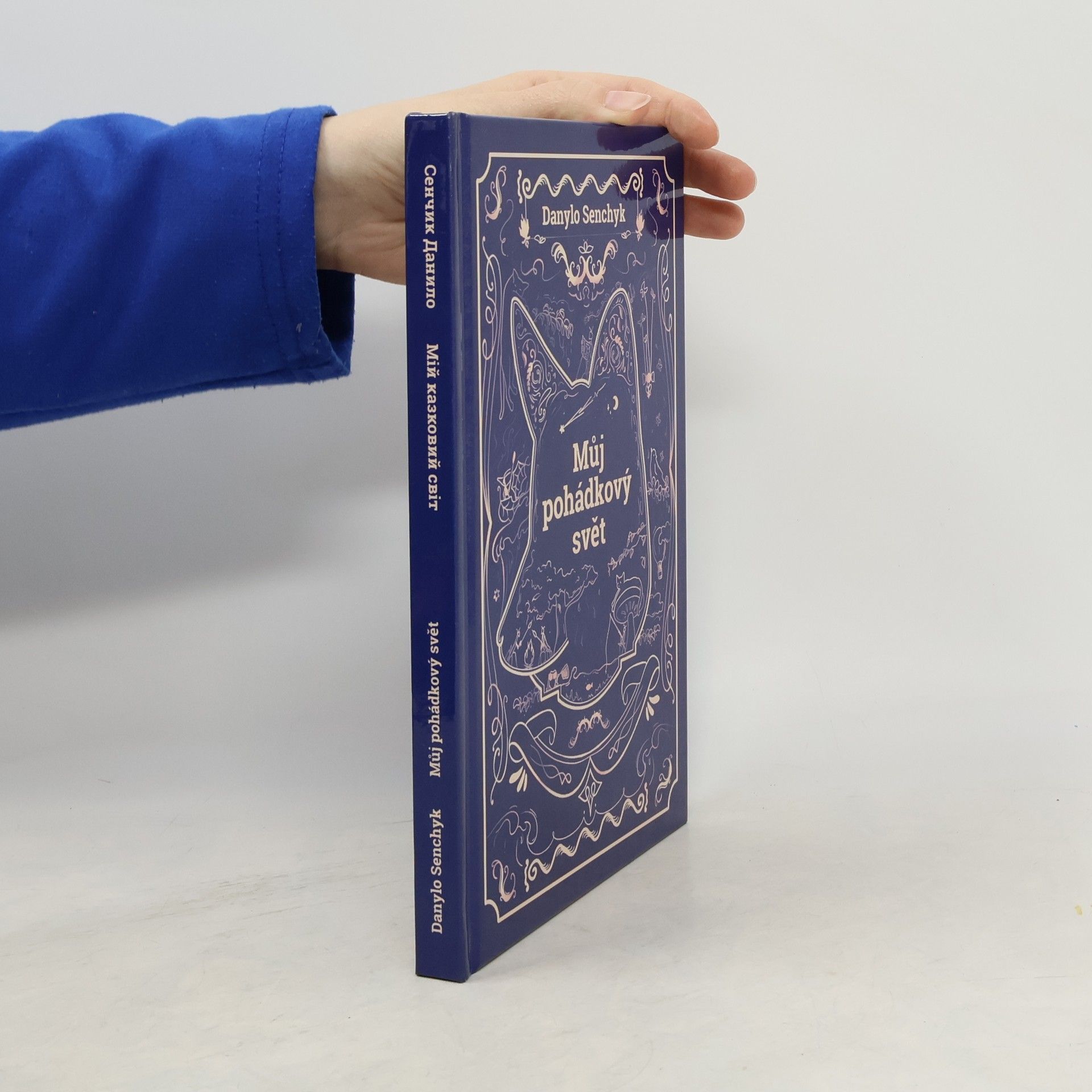 Danylo Senchyk Můj pohádkový svět