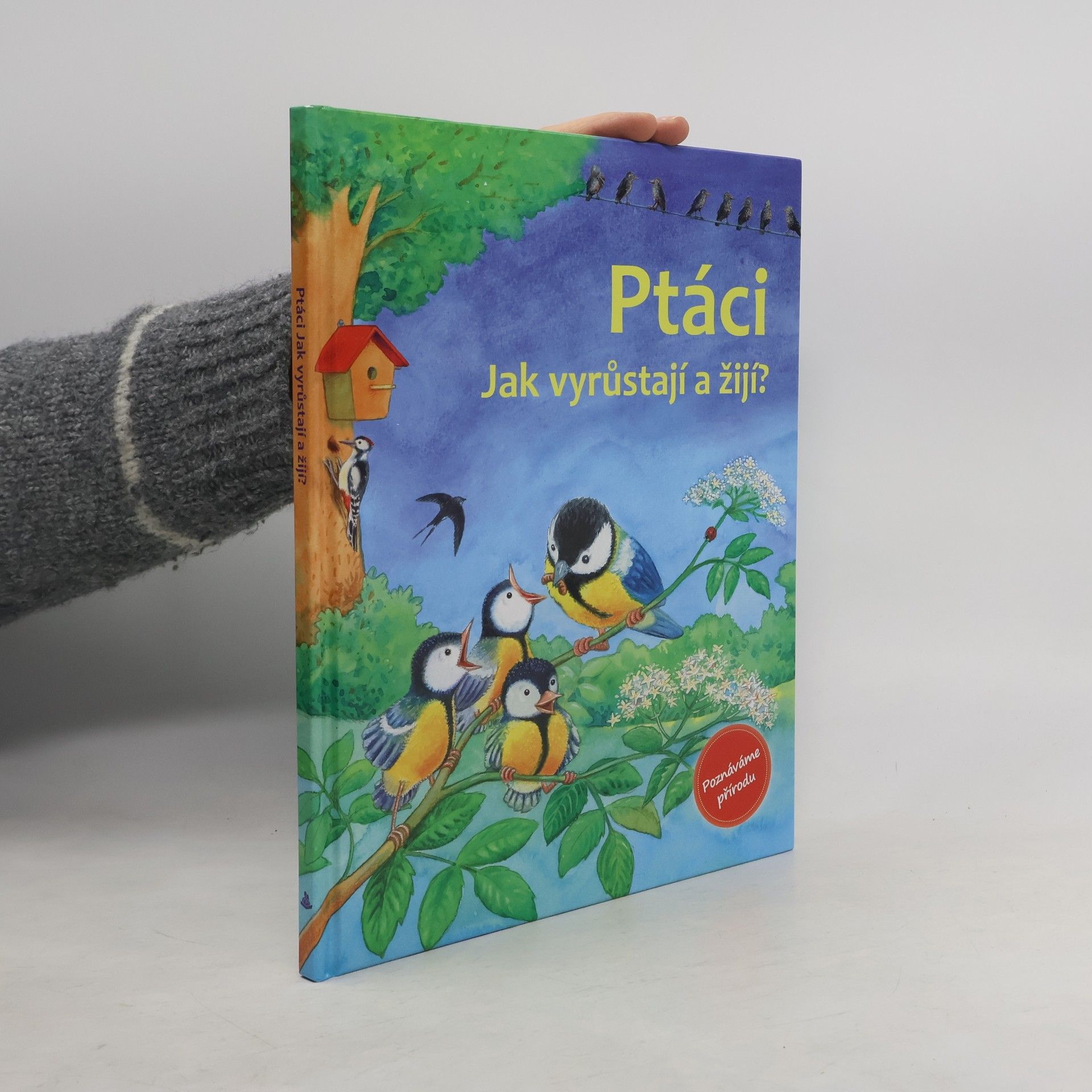 Friederun Reichenstetter Ptáci : Jak vyrůstají a žijí?