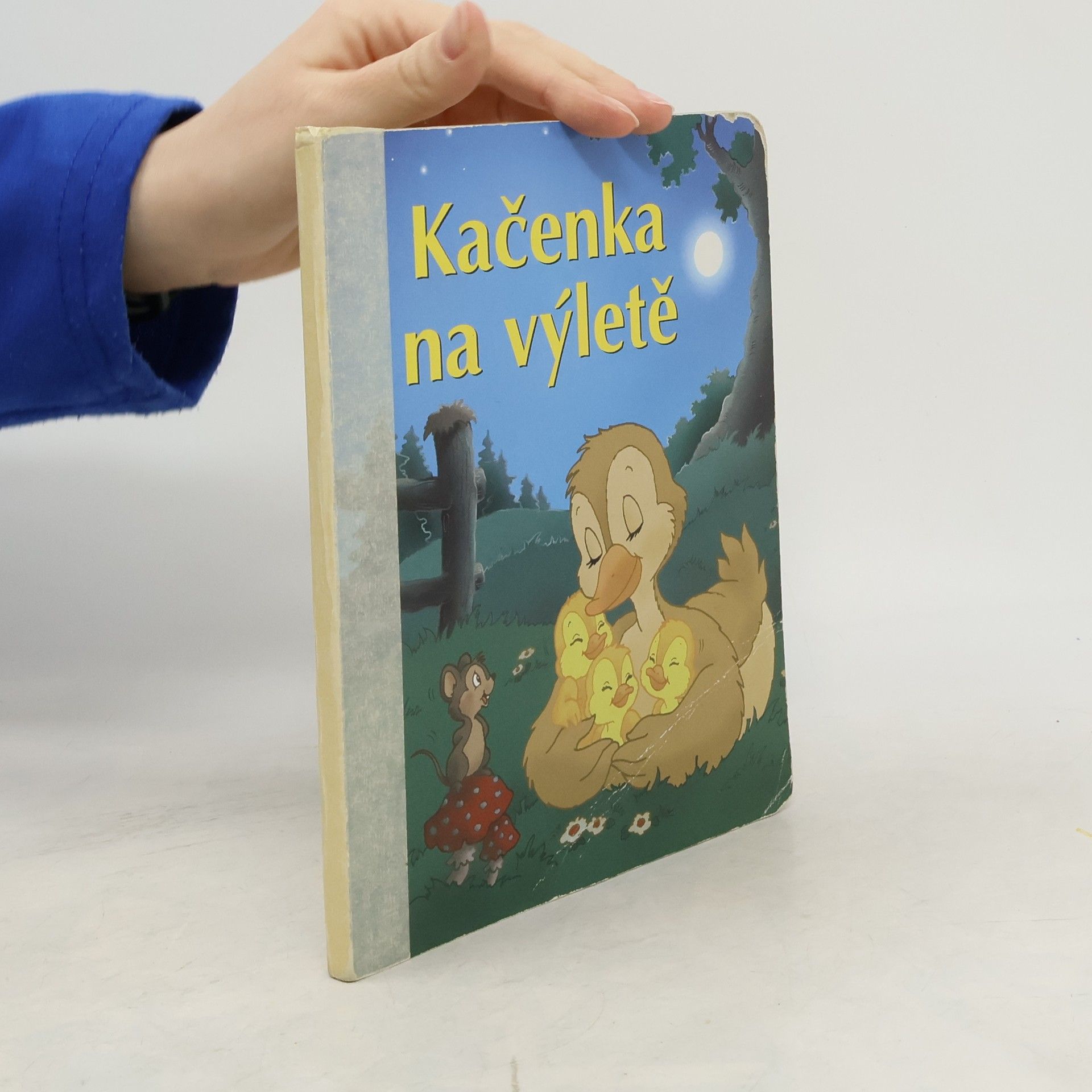 Auteurscollectief Kačenka na výletě