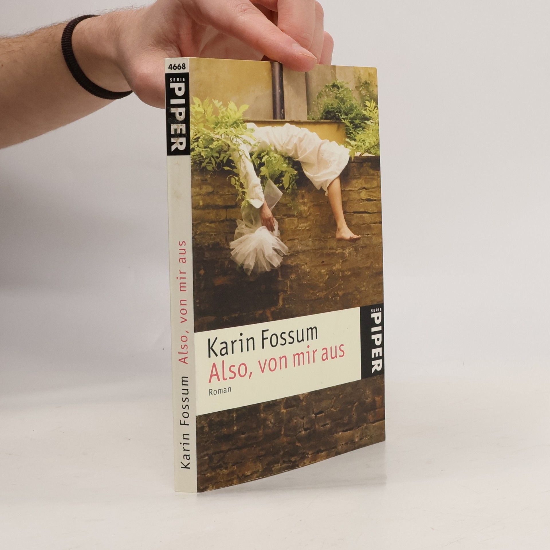 Karin Fossum Also, von mir aus