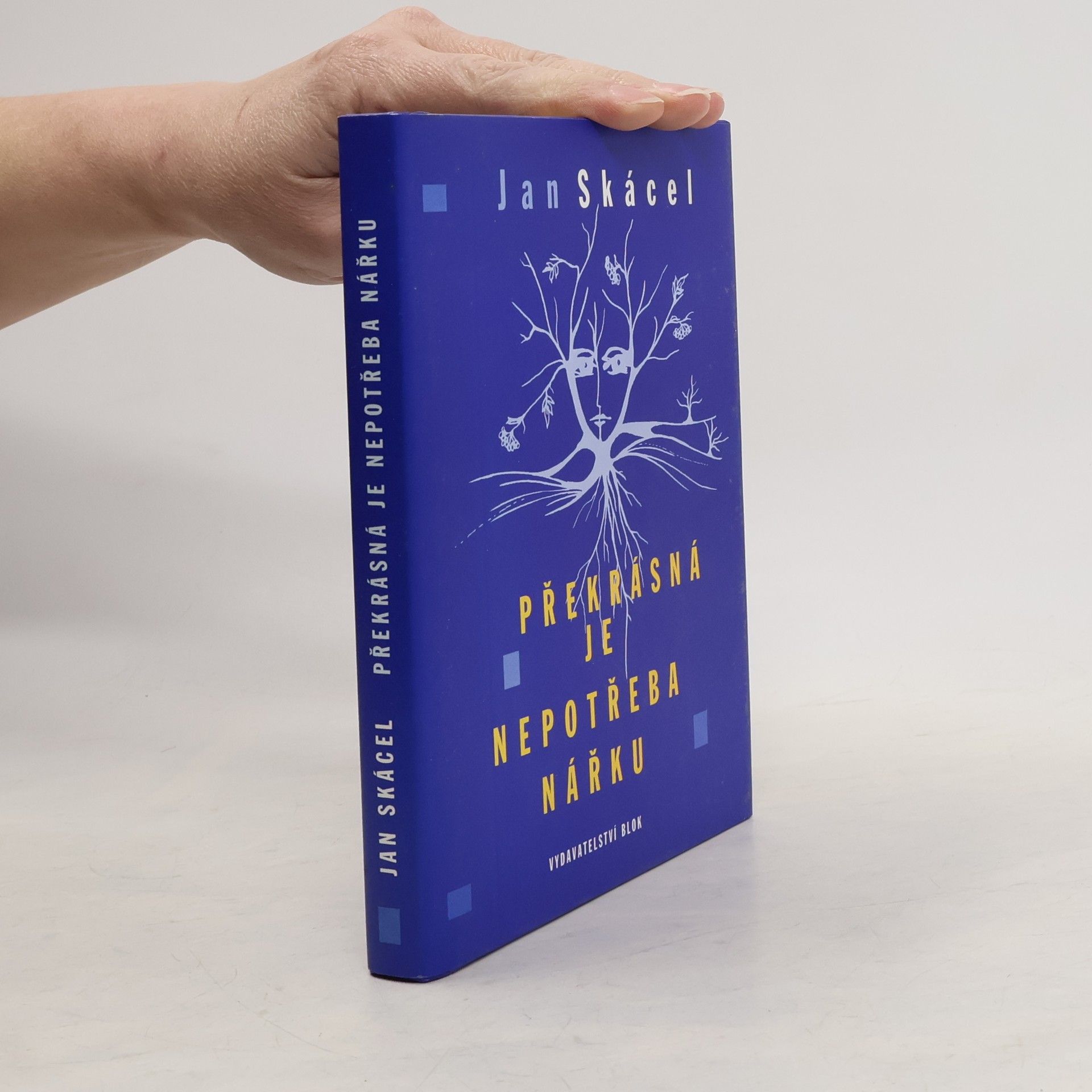 Jan Skácel Překrásná je nepotřeba nářku