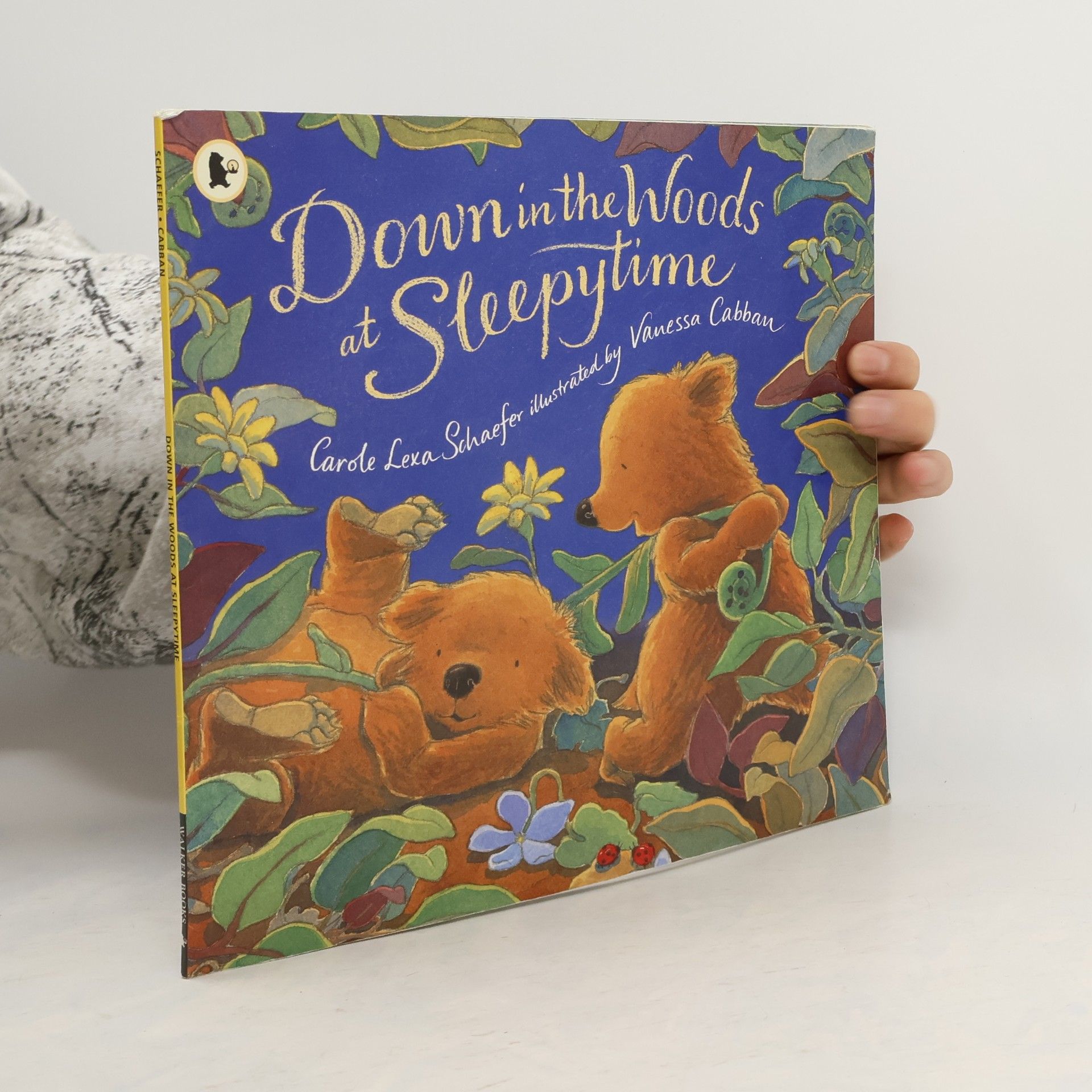 Carole Lexa Schaefer Down in the Woods at Sleepytime