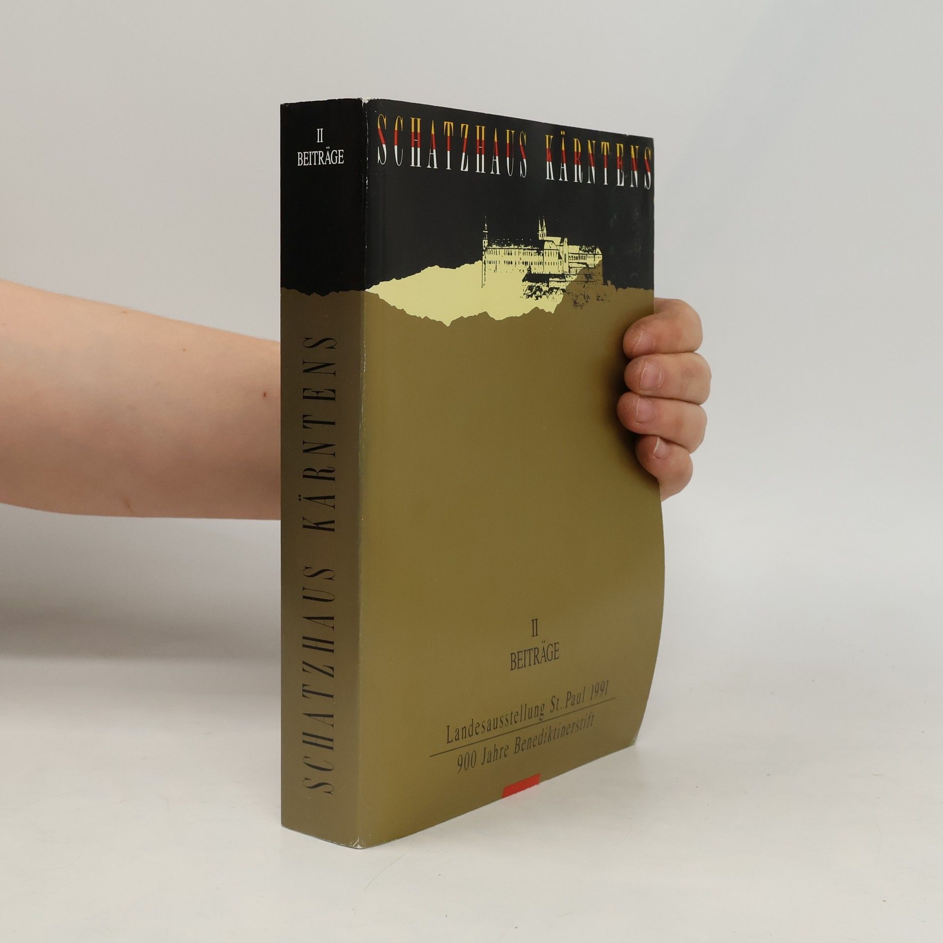 Kolektiv autorů Schatzhaus Kärntens 1