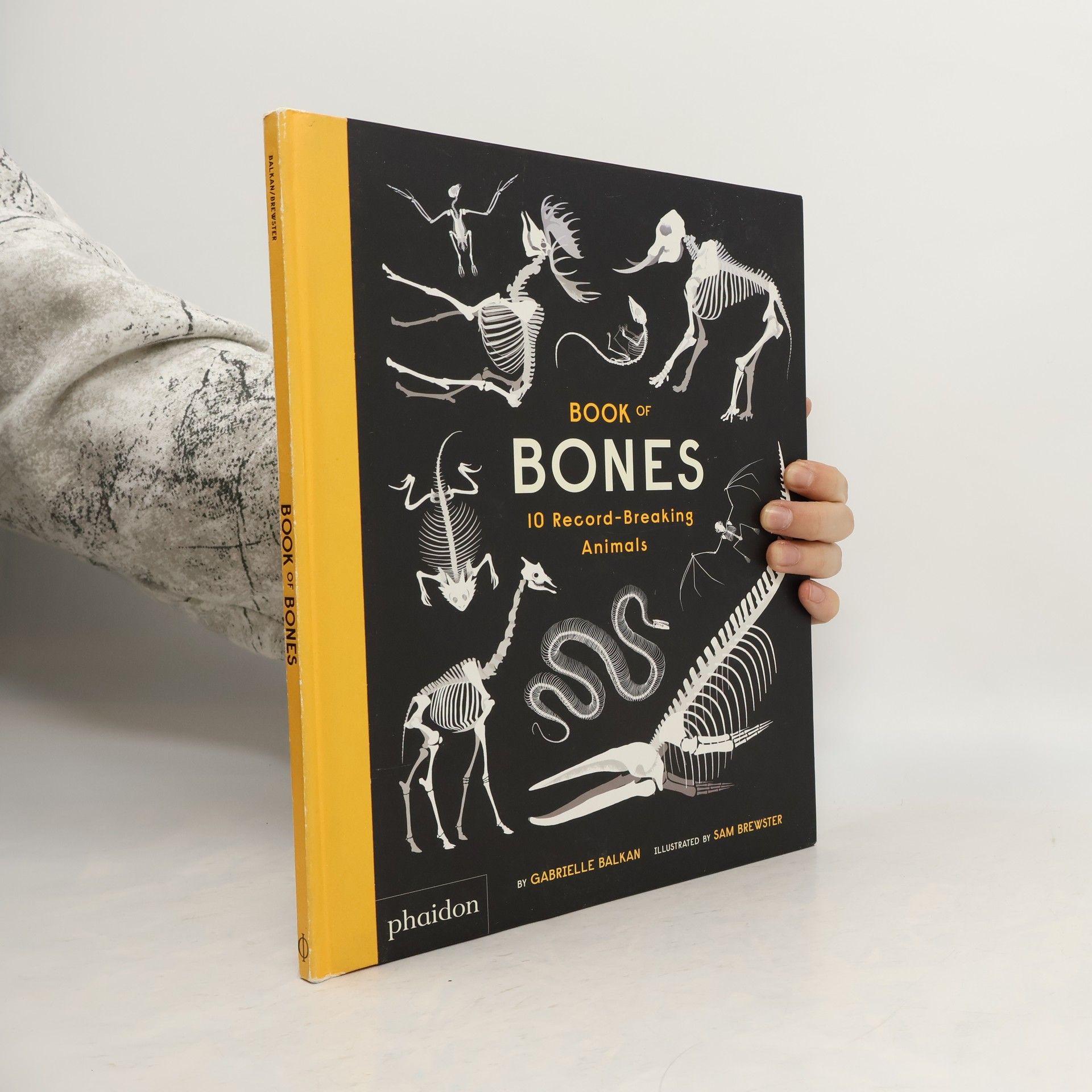Gabrielle Balkan Book of Bones