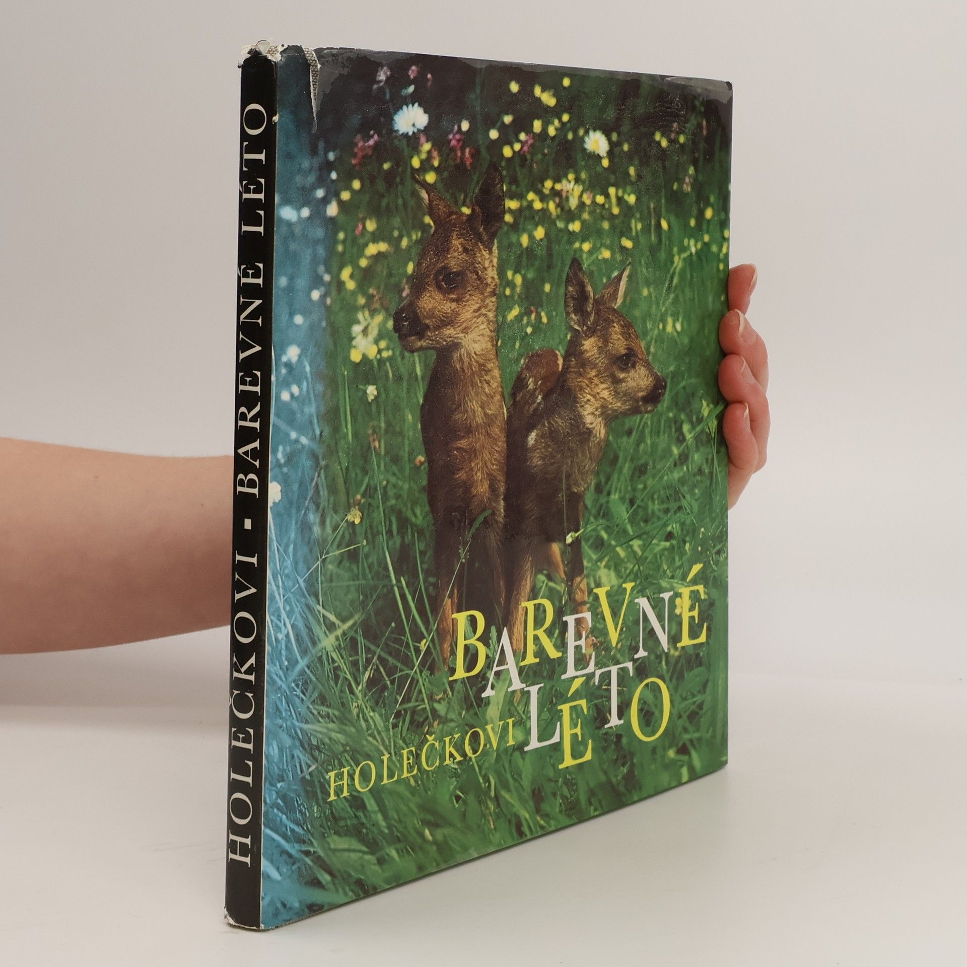 Collectif d'auteurs Barvené léto