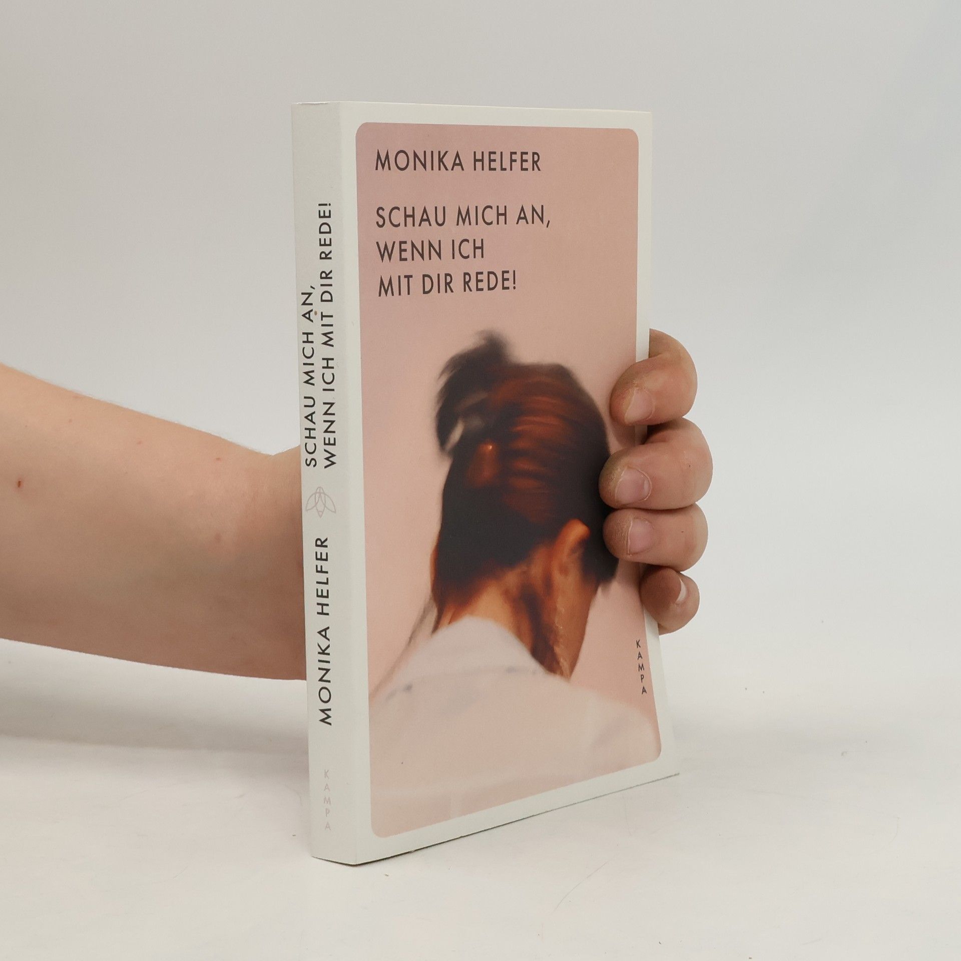 Monika Helfer Schau mich an, wenn ich mit dir rede!
