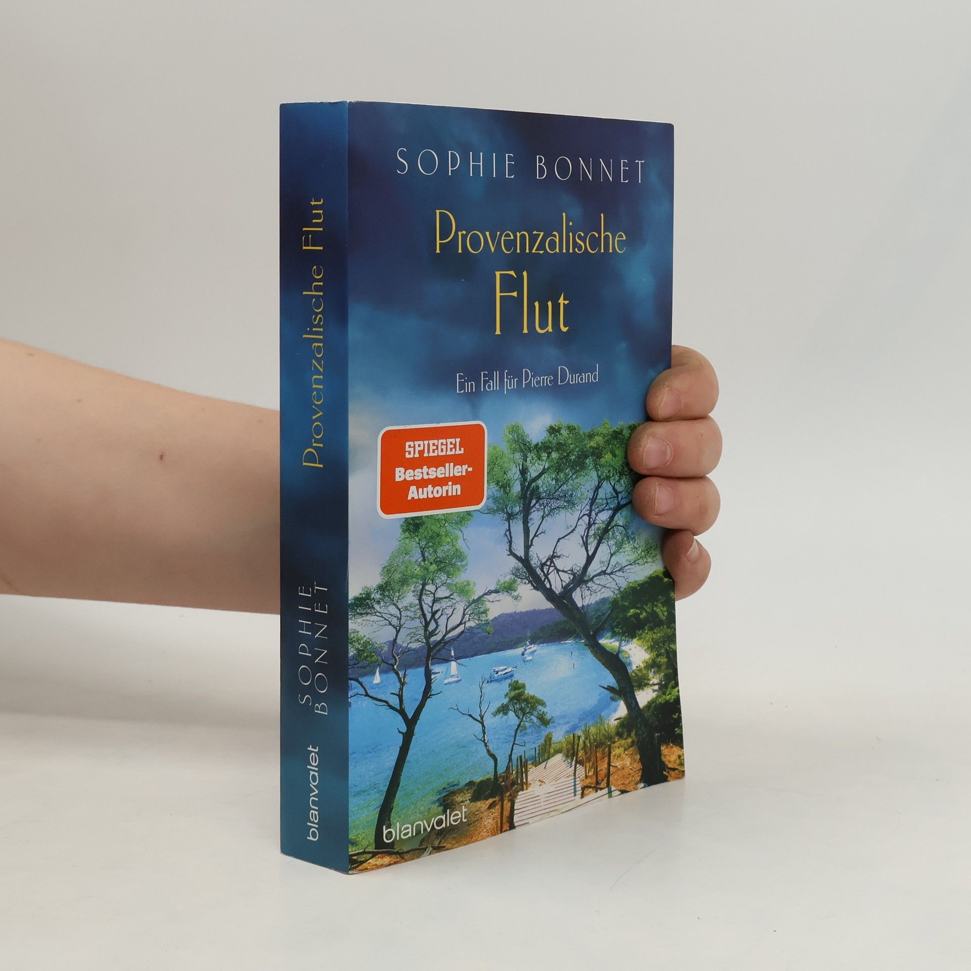 Sophie Bonnet Provenzalische Flut