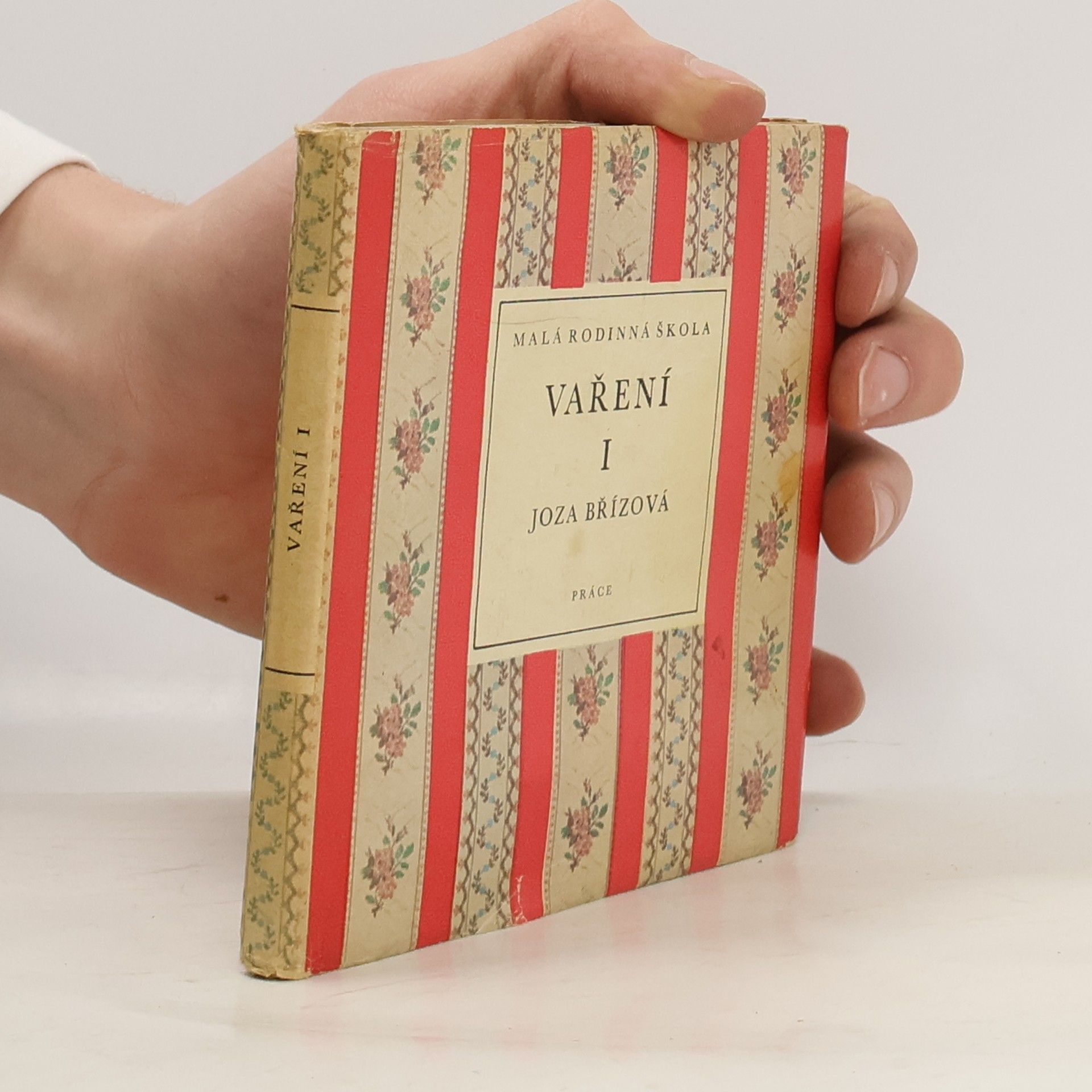 Joza Břízová Malá rodinná škola. Vaření I.