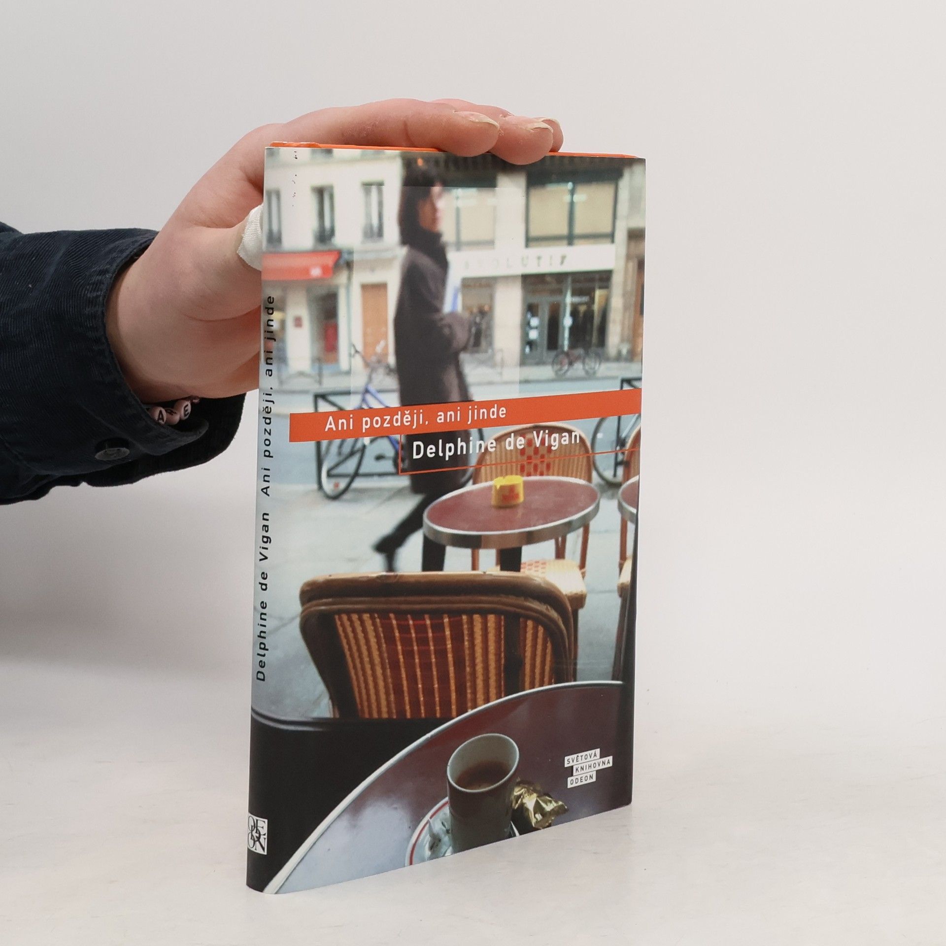 Delphine de Vigan Ani později, ani jinde