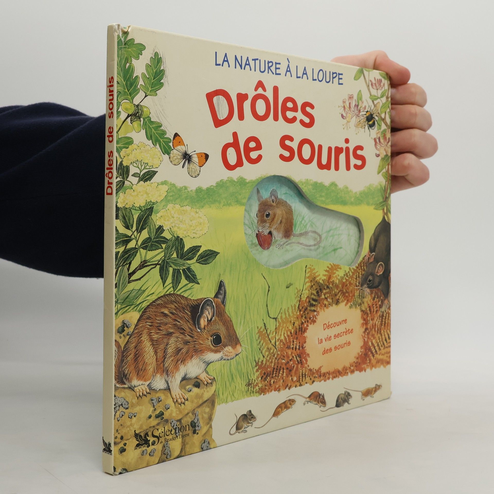 Drôles de souris
