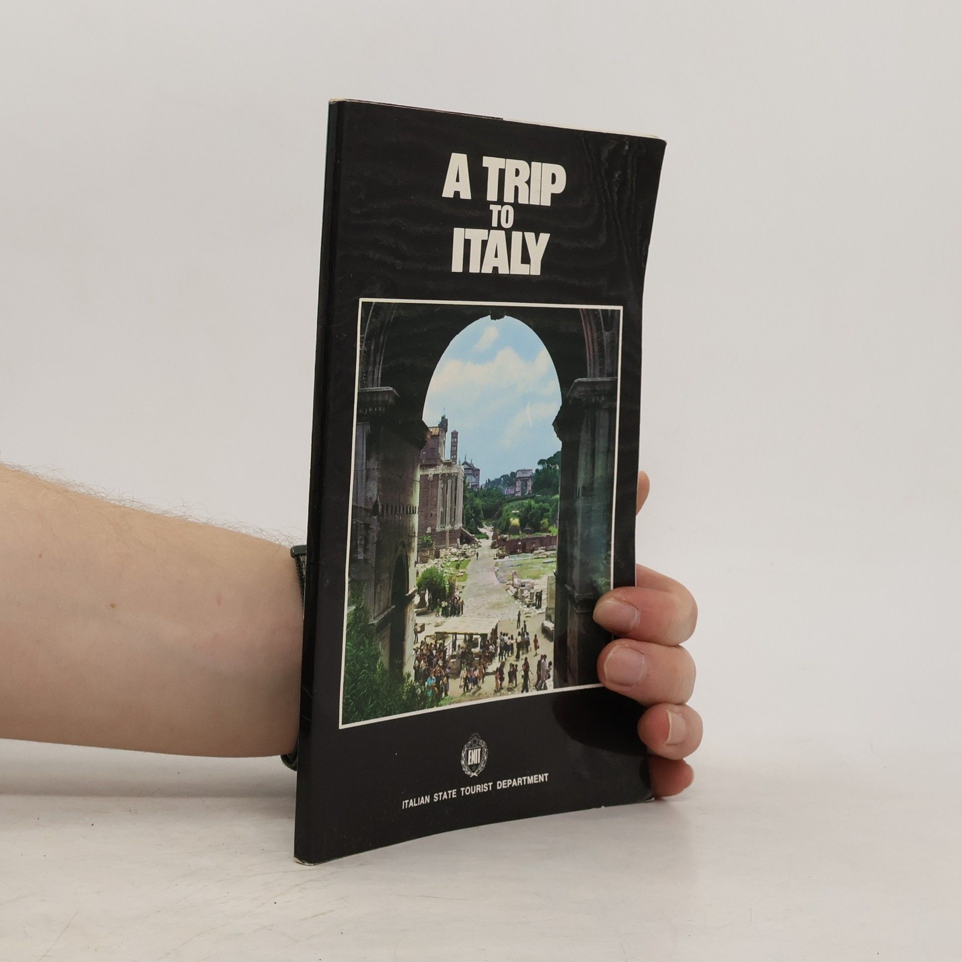 Autorenkollektiv A Trip to Italy