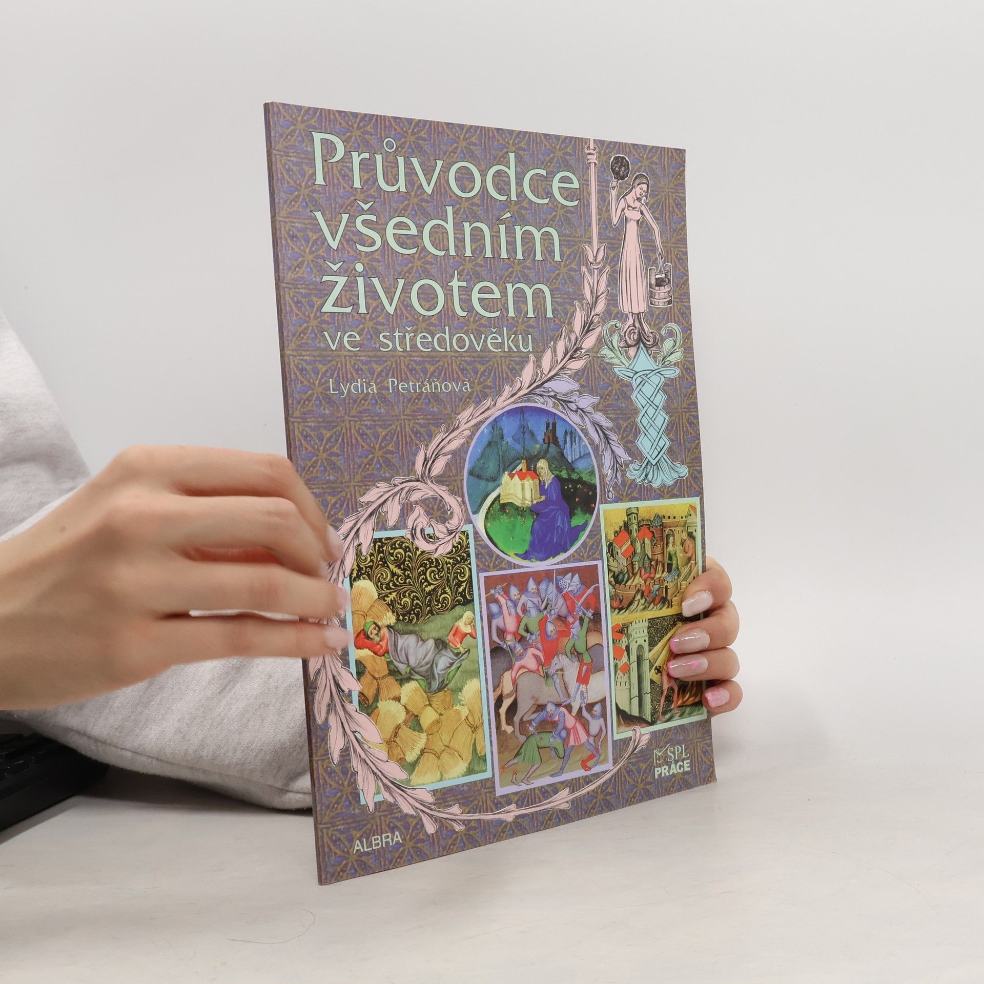 Vladimír Birgus Průvodce všedním životem ve středověku