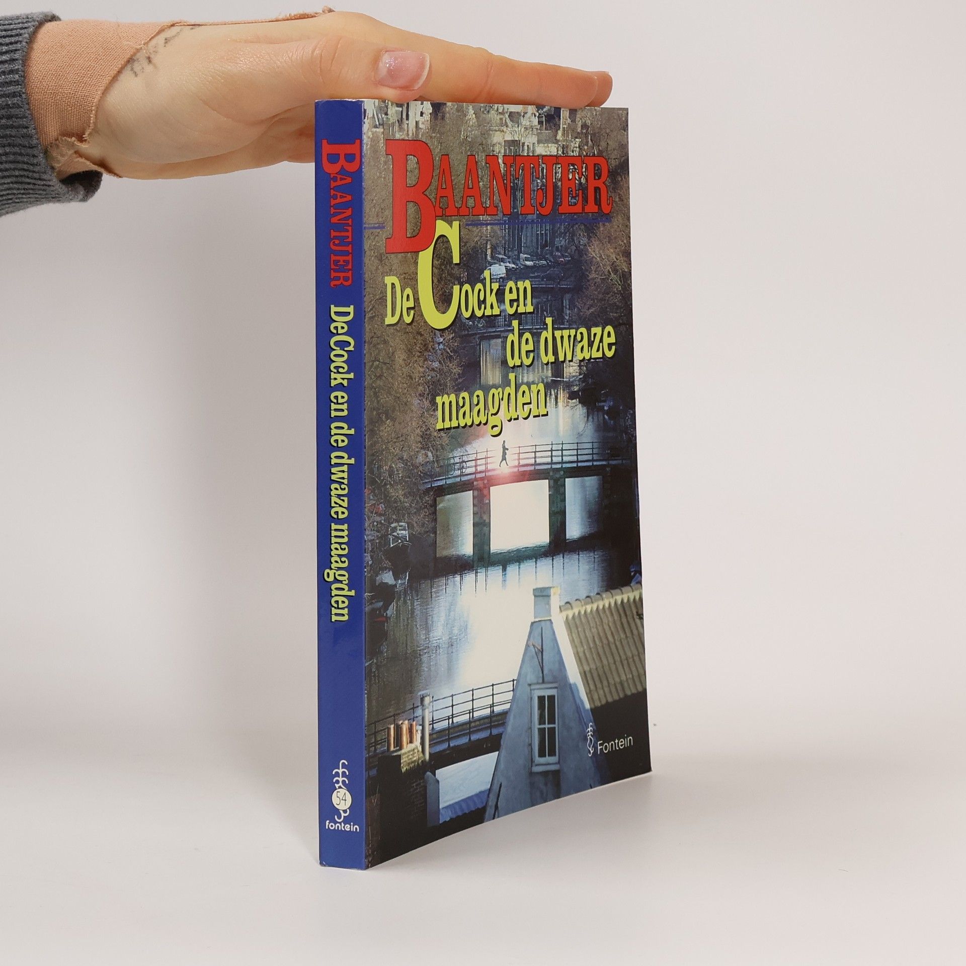 Albert C. Baantjer De Cock en de dwaze maagden