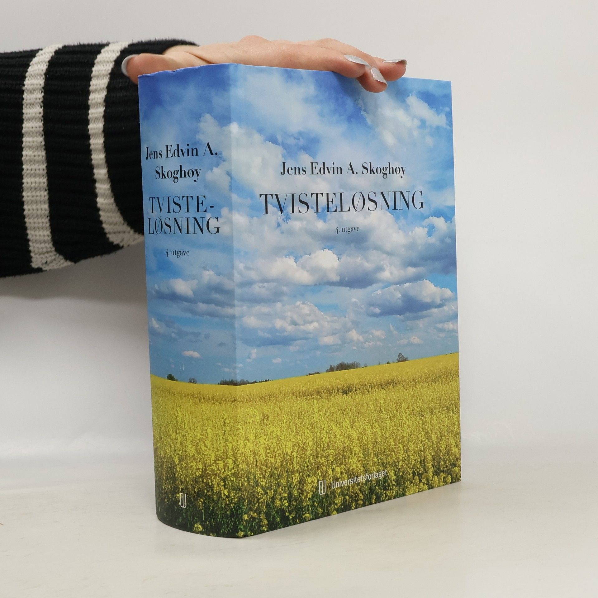 Jens Edvin A. Skoghøy Tvisteløsning