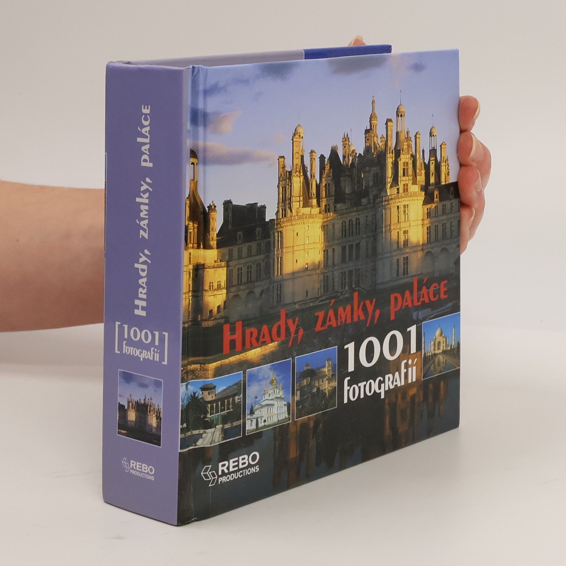 Françoise Bayle Hrady, zámky, paláce: 1001 fotografií