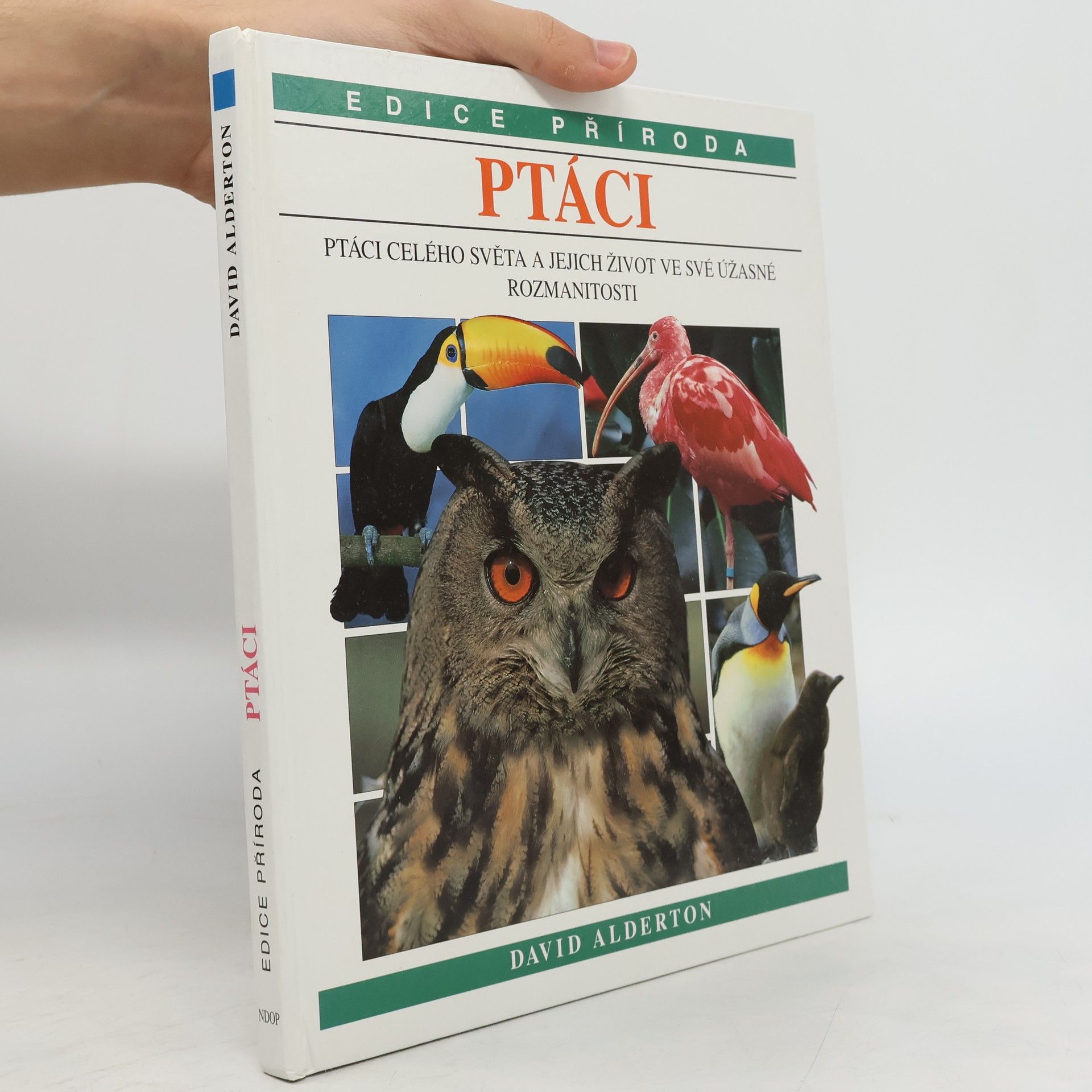 David Alderton Ptáci