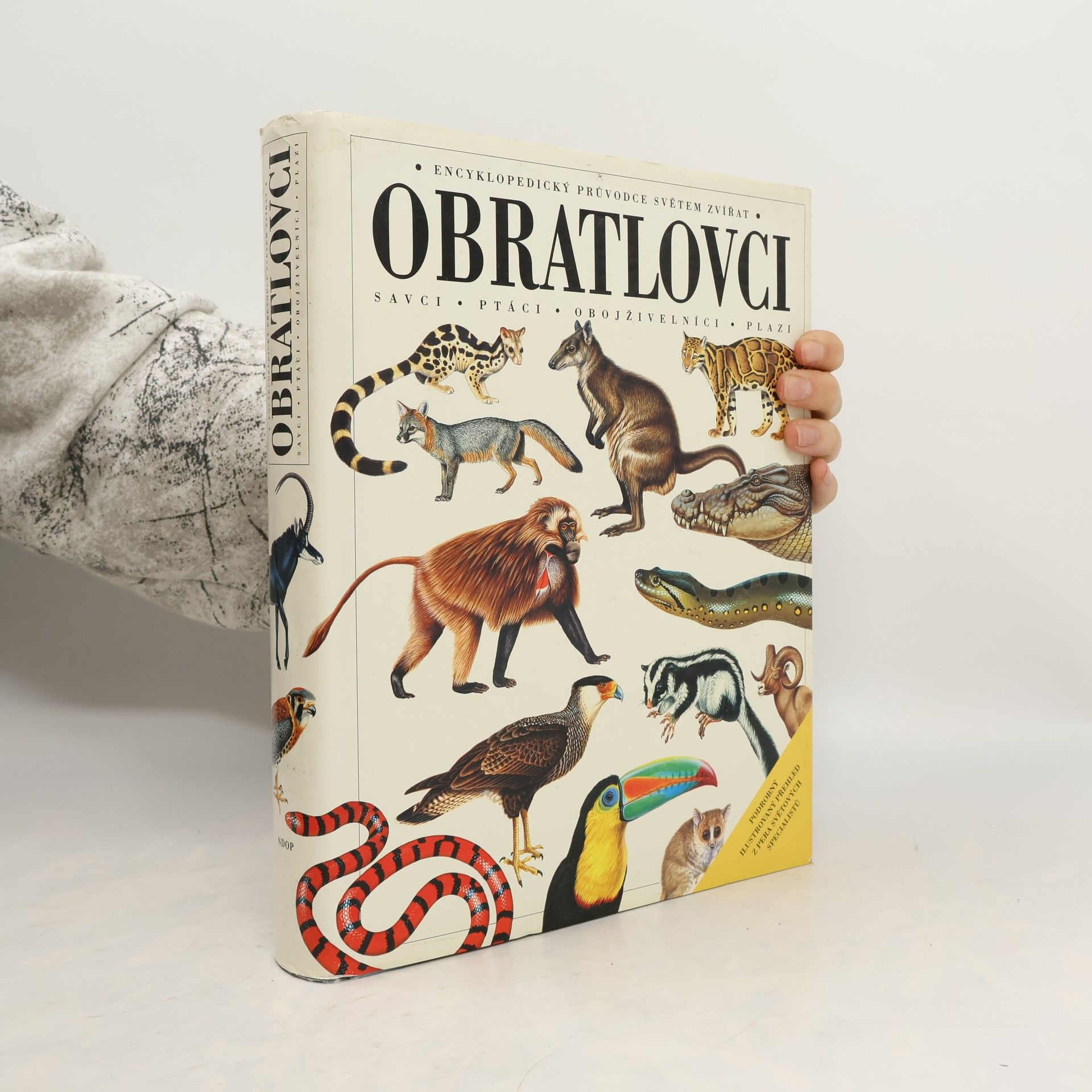 Obratlovci : savci, ptáci, obojživelníci, plazi : encyklopedický průvodce světem zvířat