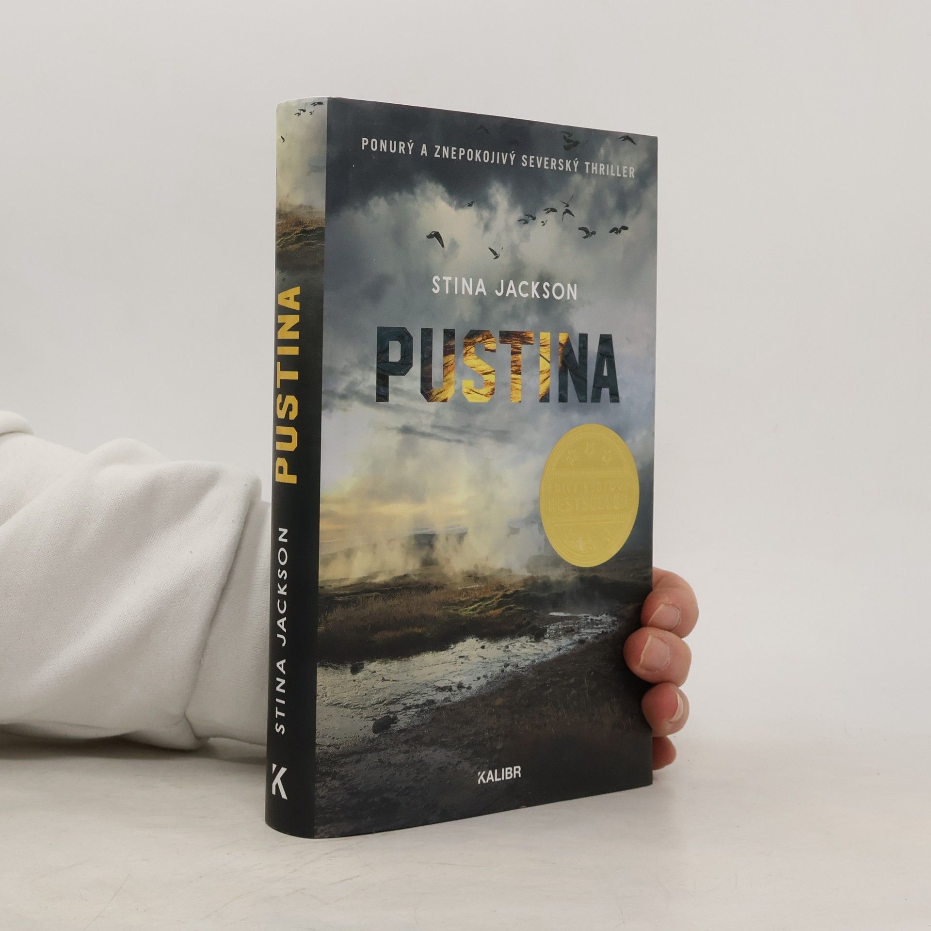 Stina Jackson Pustina
